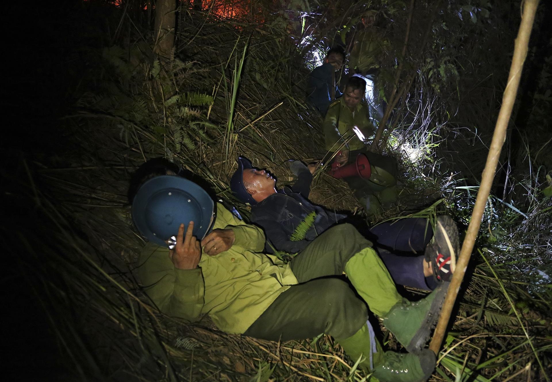 trang dem chua chay rung o Ha Tinh anh 16