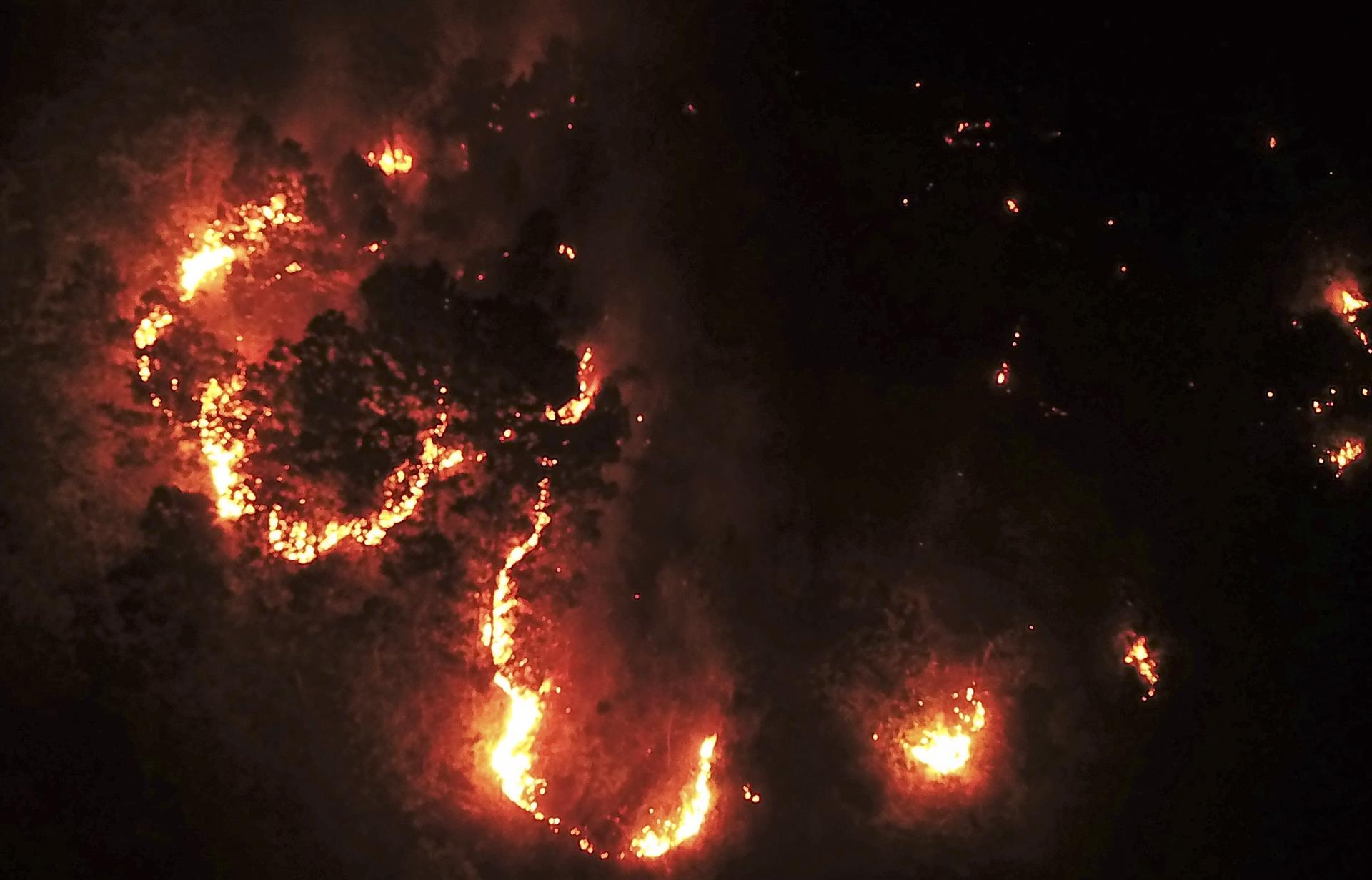 trang dem chua chay rung o Ha Tinh anh 1