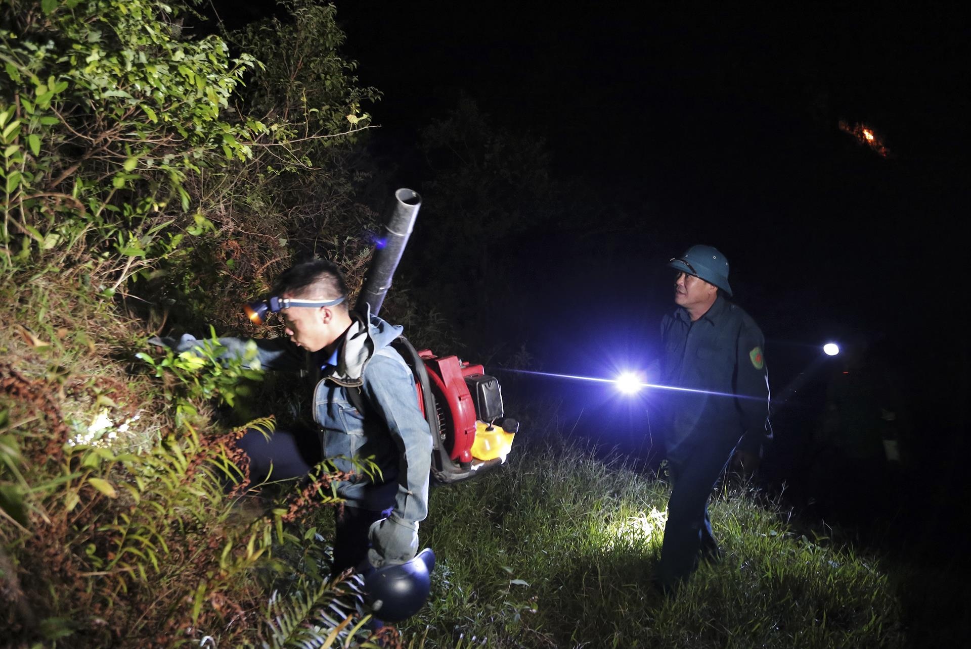 trang dem chua chay rung o Ha Tinh anh 2