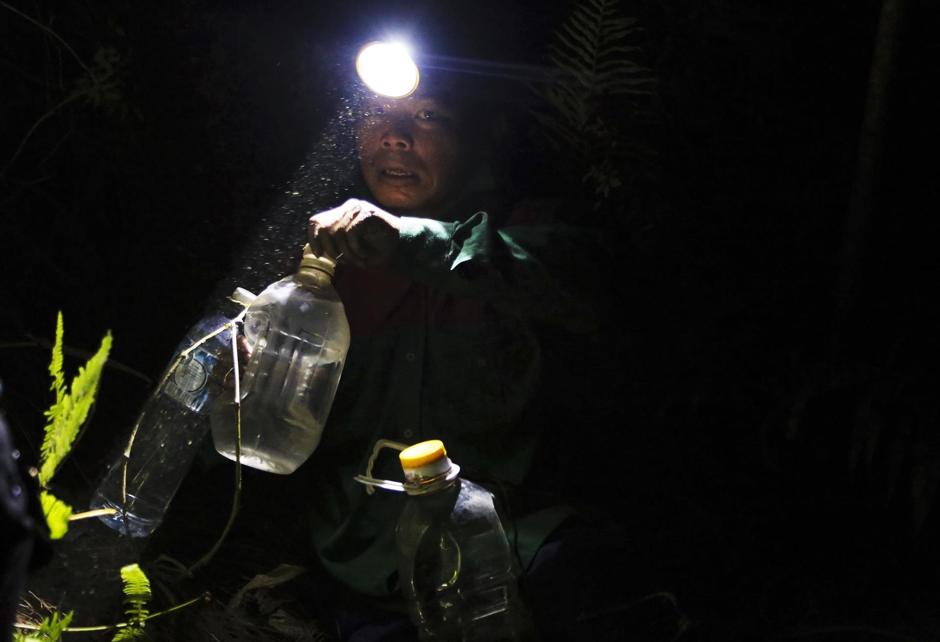 trang dem chua chay rung o Ha Tinh anh 3