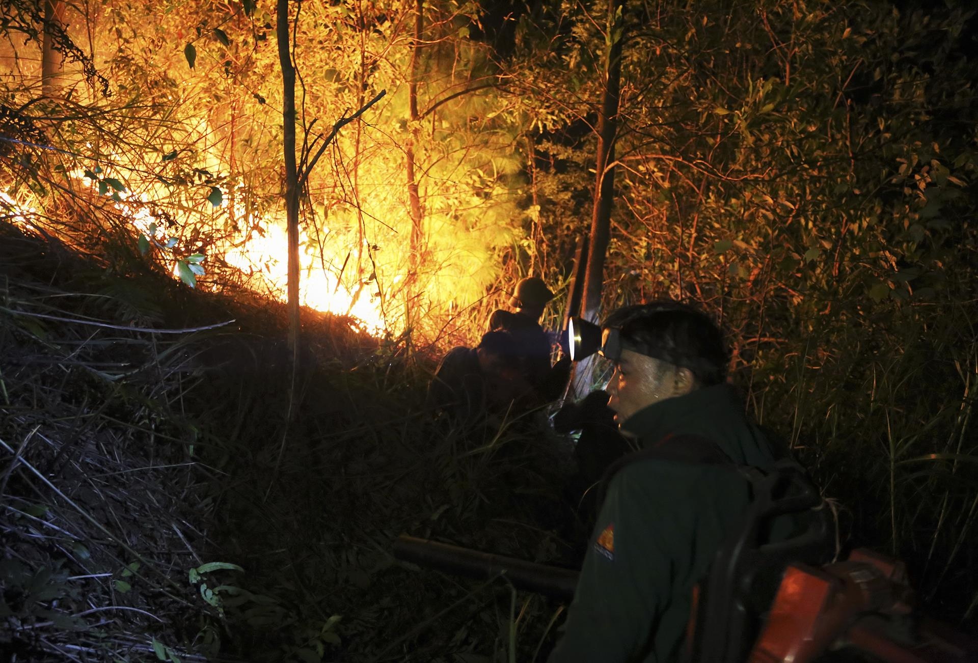 trang dem chua chay rung o Ha Tinh anh 4