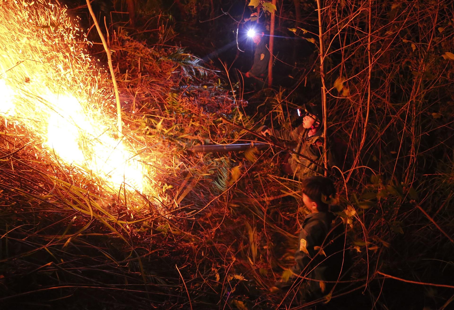 trang dem chua chay rung o Ha Tinh anh 5