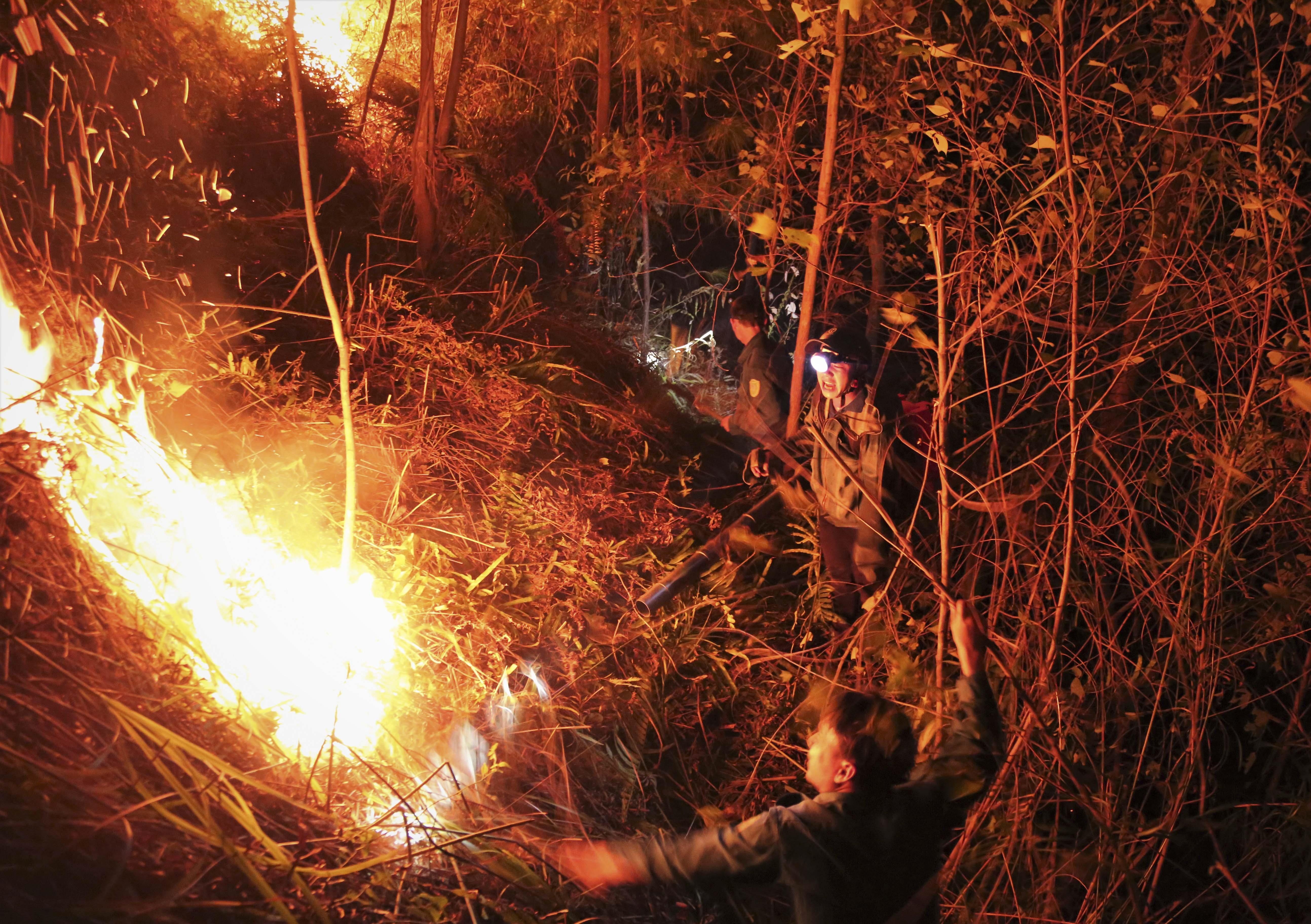 Trang dem dap lua chay rung thong o Ha Tinh hinh anh