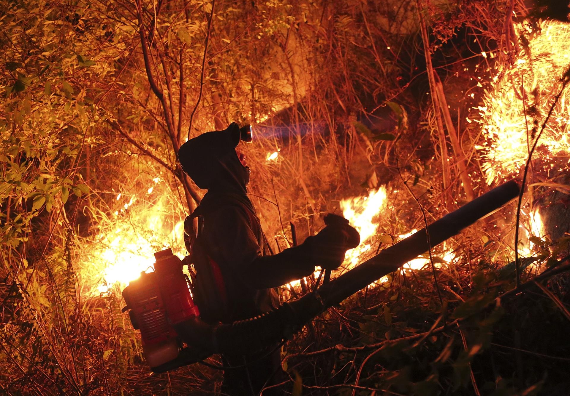 Hon 500 nguoi xuyen dem vat lon voi lua rung chay ngun ngut hinh anh
