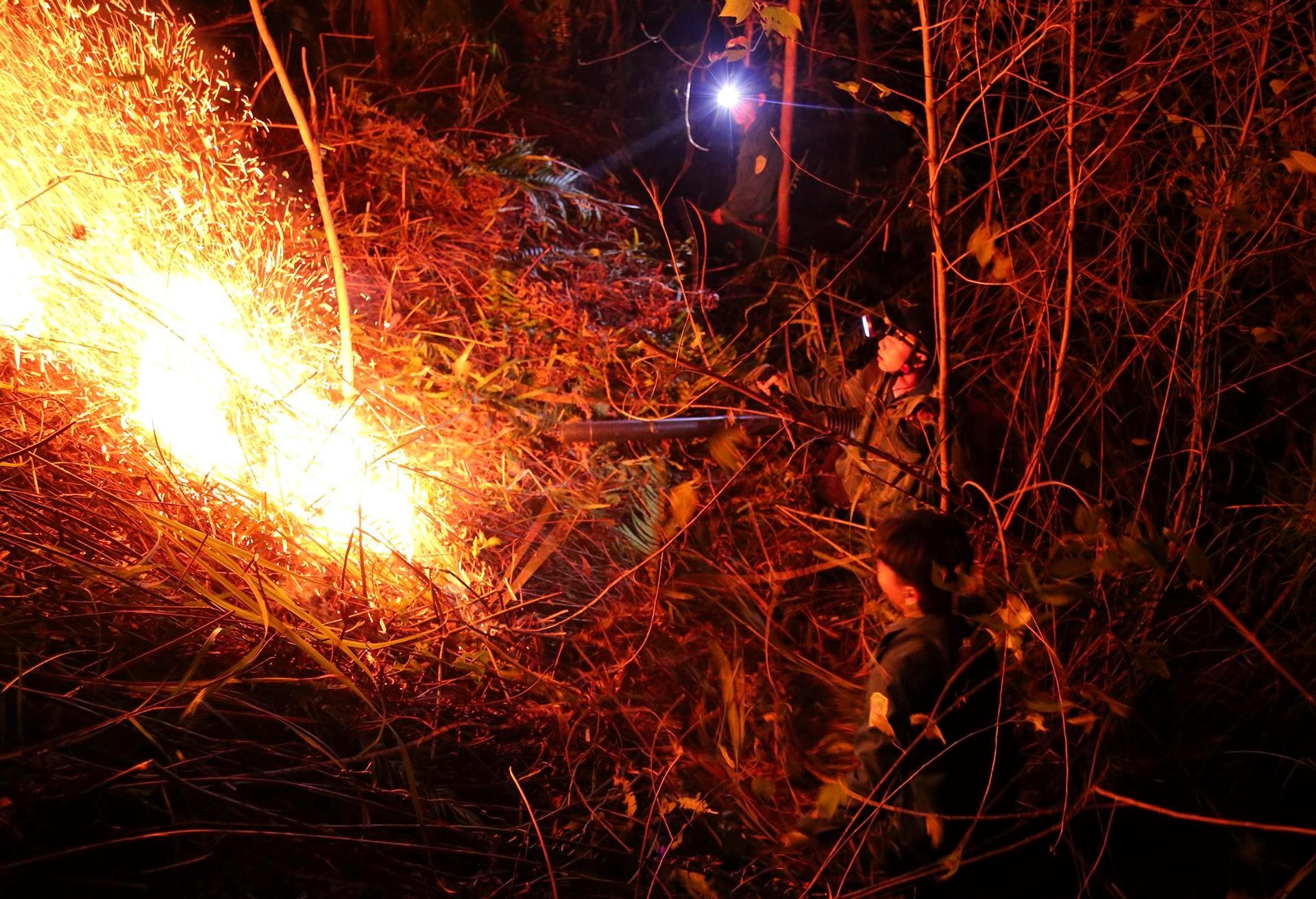 3 nong dan dot ong lam chay rung bi khoi to hinh anh