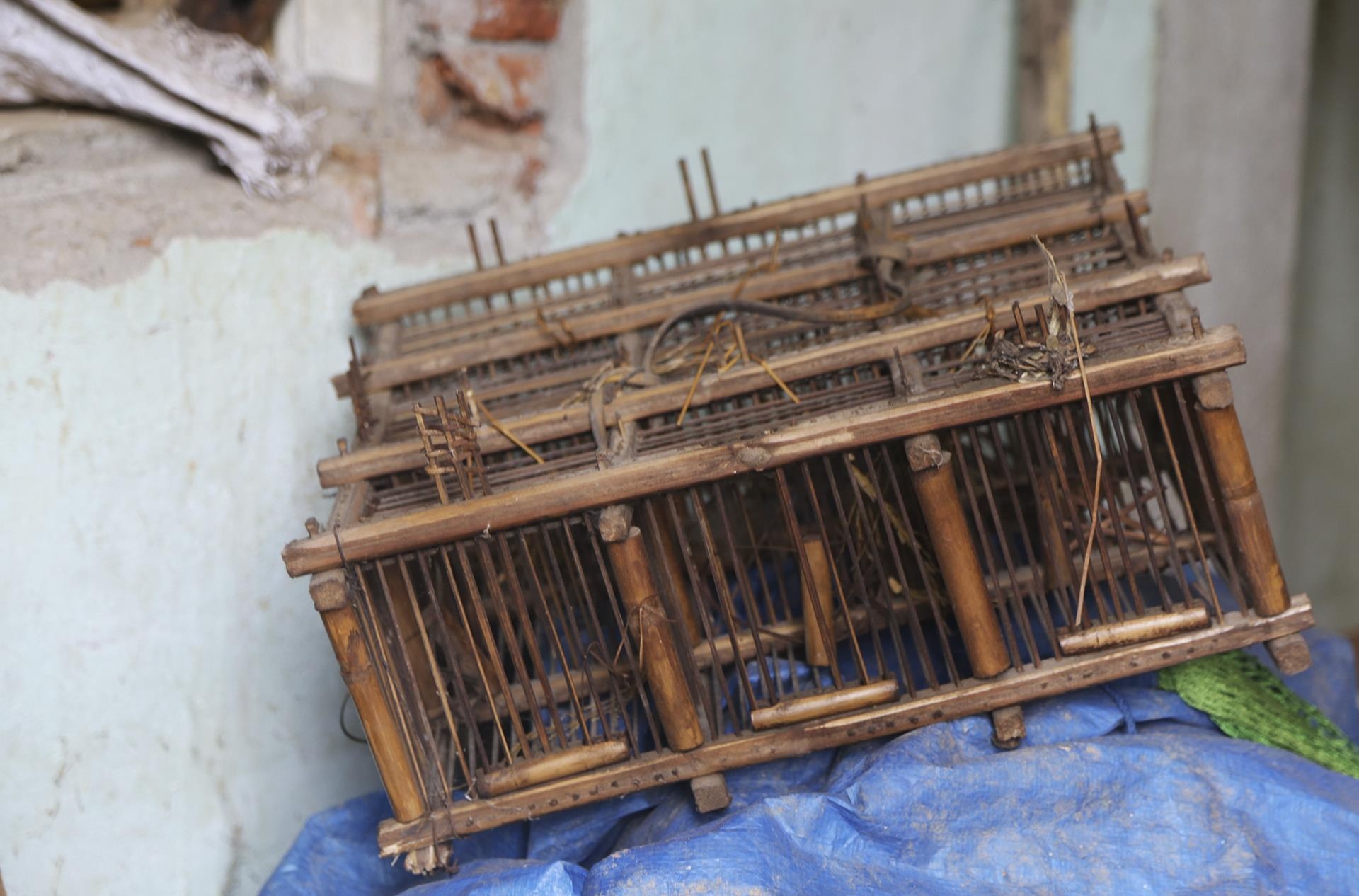 tai dinh cu thuy dien Ban Ve hoang lanh anh 13