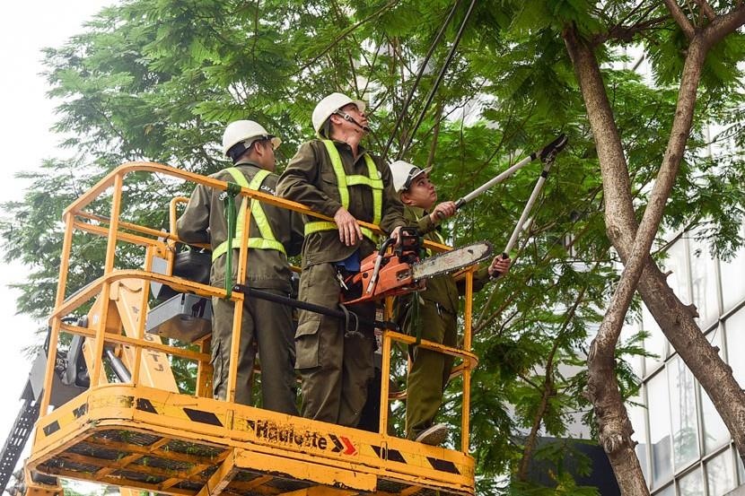 Cat tia cay o tru so UBND huyen, nam cong nhan roi xuong dat tu vong hinh anh