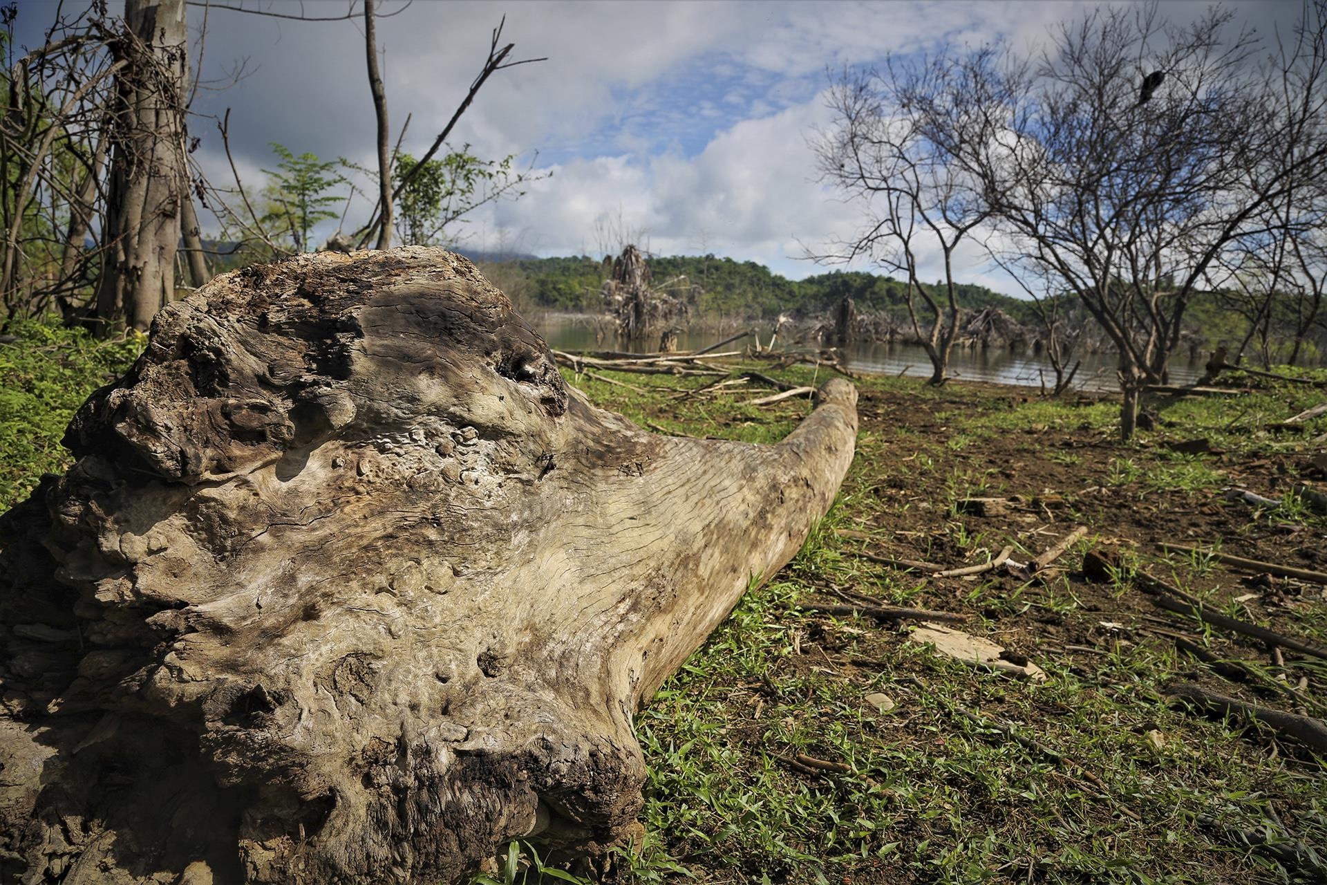 ho chua nuoc Ngan Truoi Ha Tinh anh 14