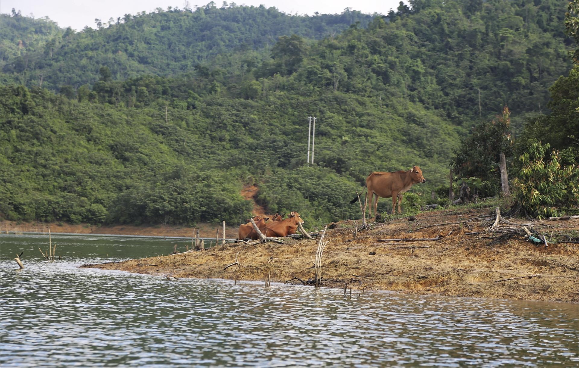 ho chua nuoc Ngan Truoi Ha Tinh anh 17