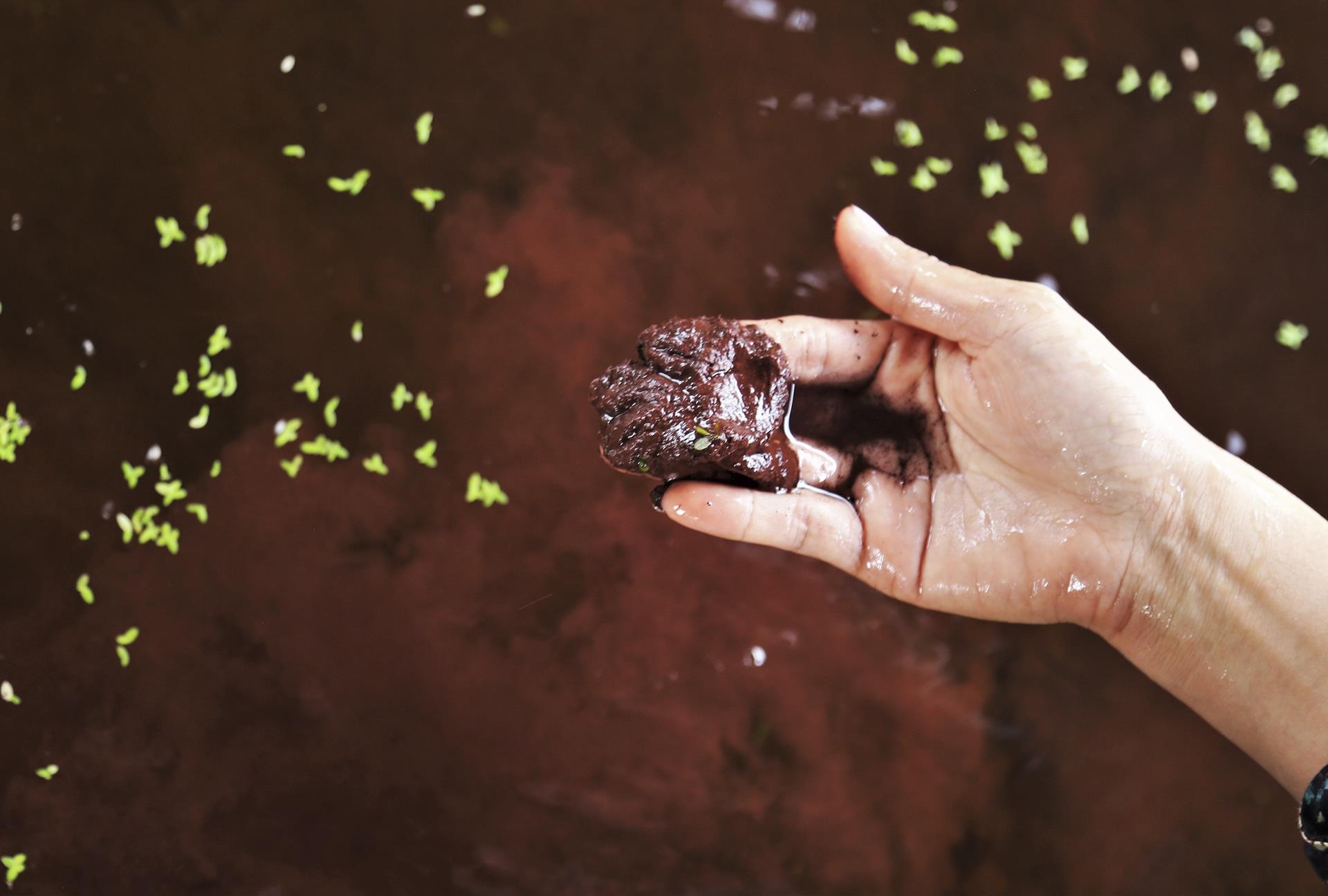 nha may sat bo hoang anh 13