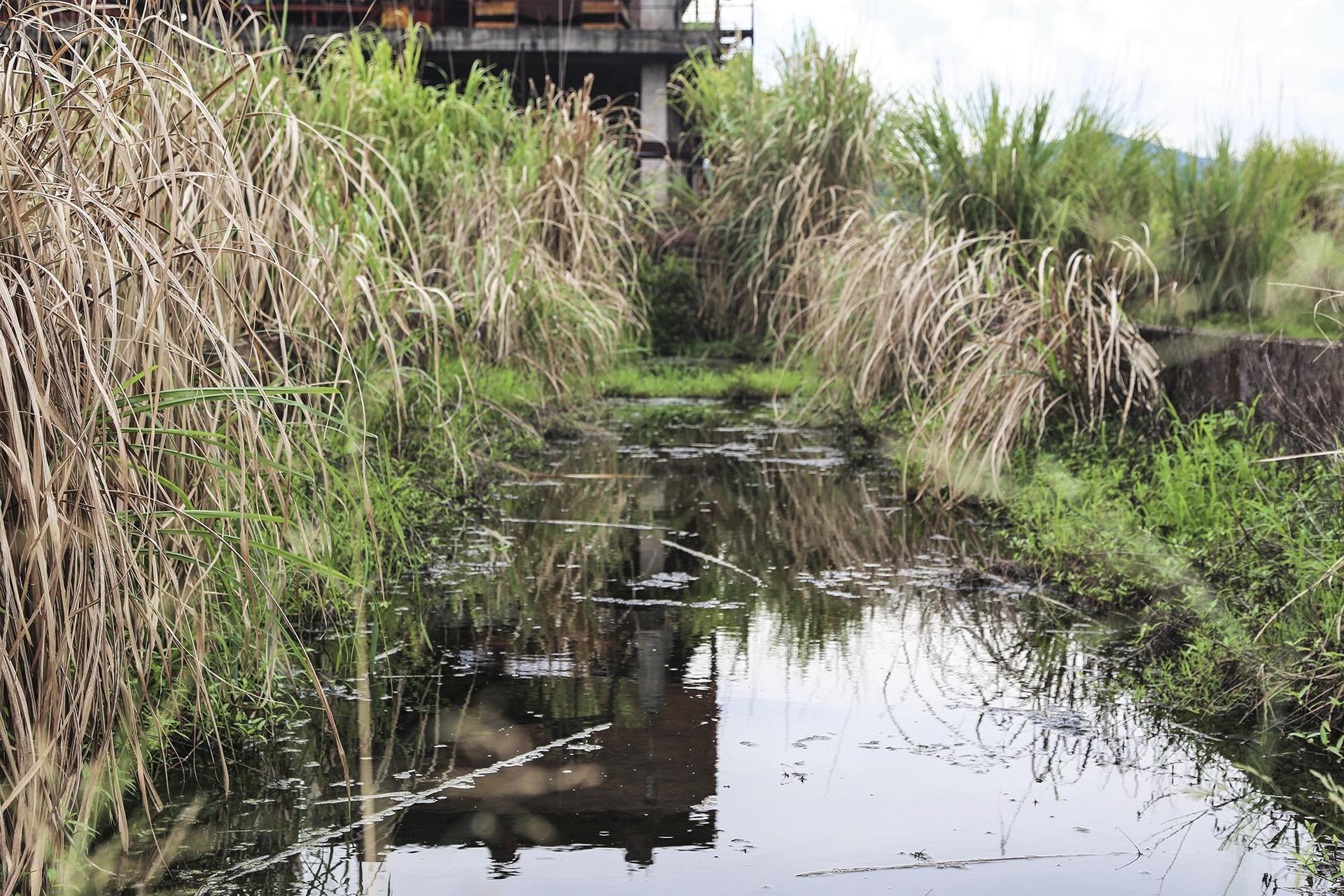 nha may sat bo hoang anh 6