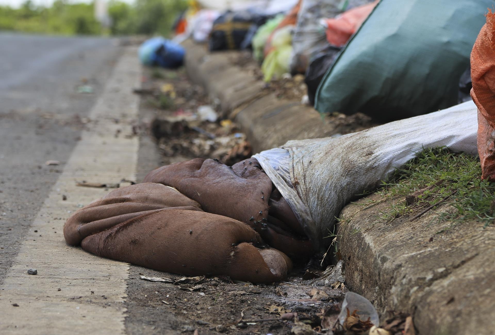 rac ngap pho huyen o Ha Tinh anh 4