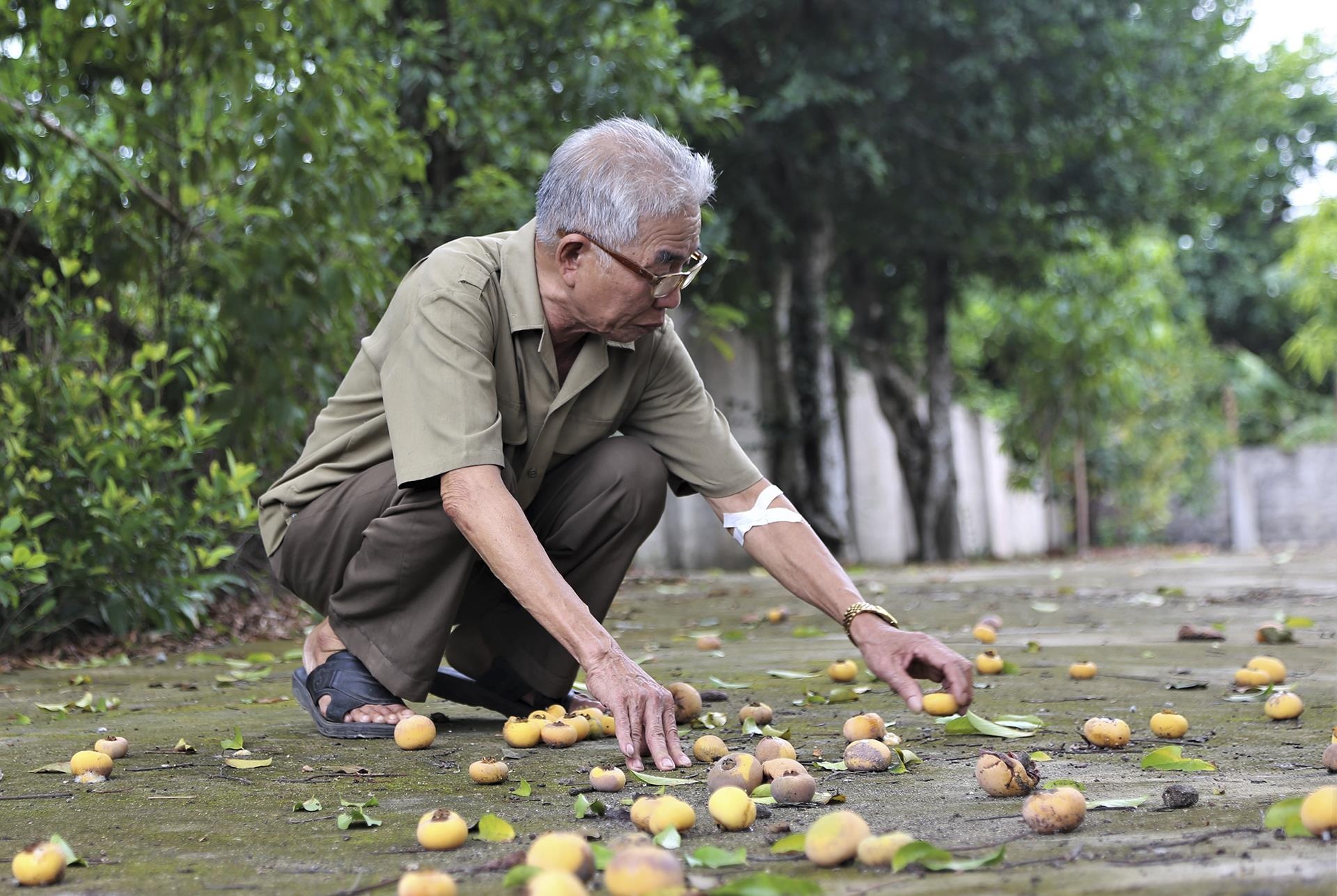 cay thi tram tuoi anh 9