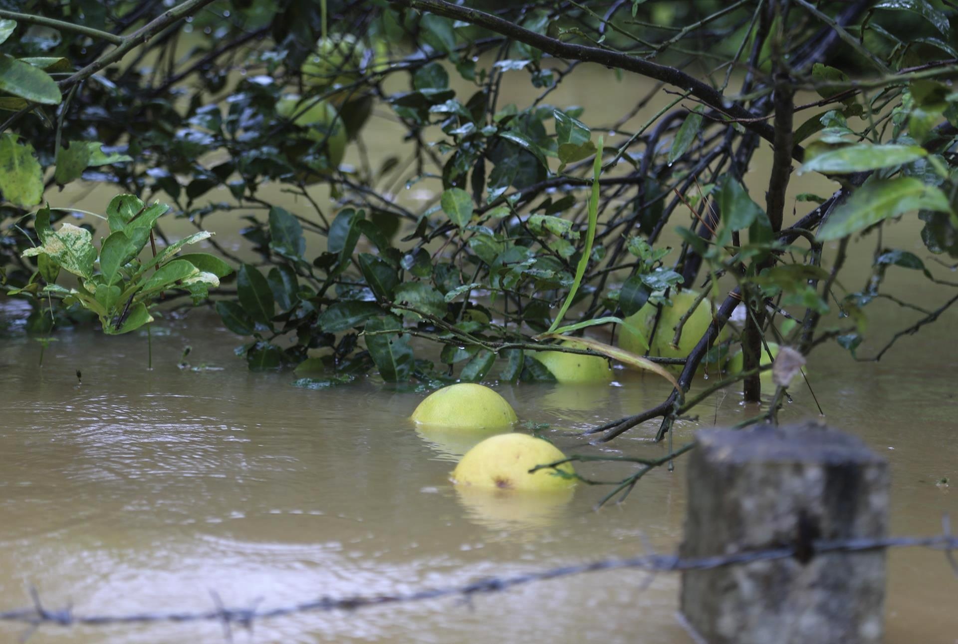 mua lu o Ha Tinh anh 17