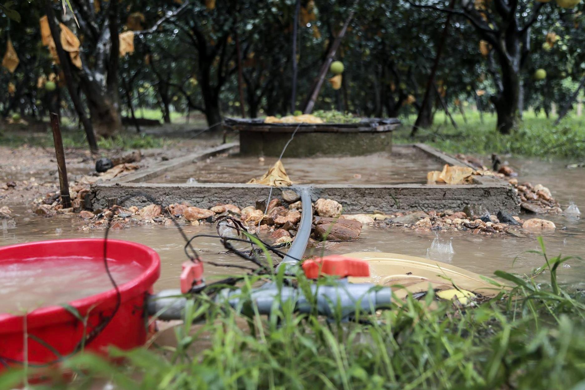 buoi Phuc Trach ngap chim trong lu anh 8