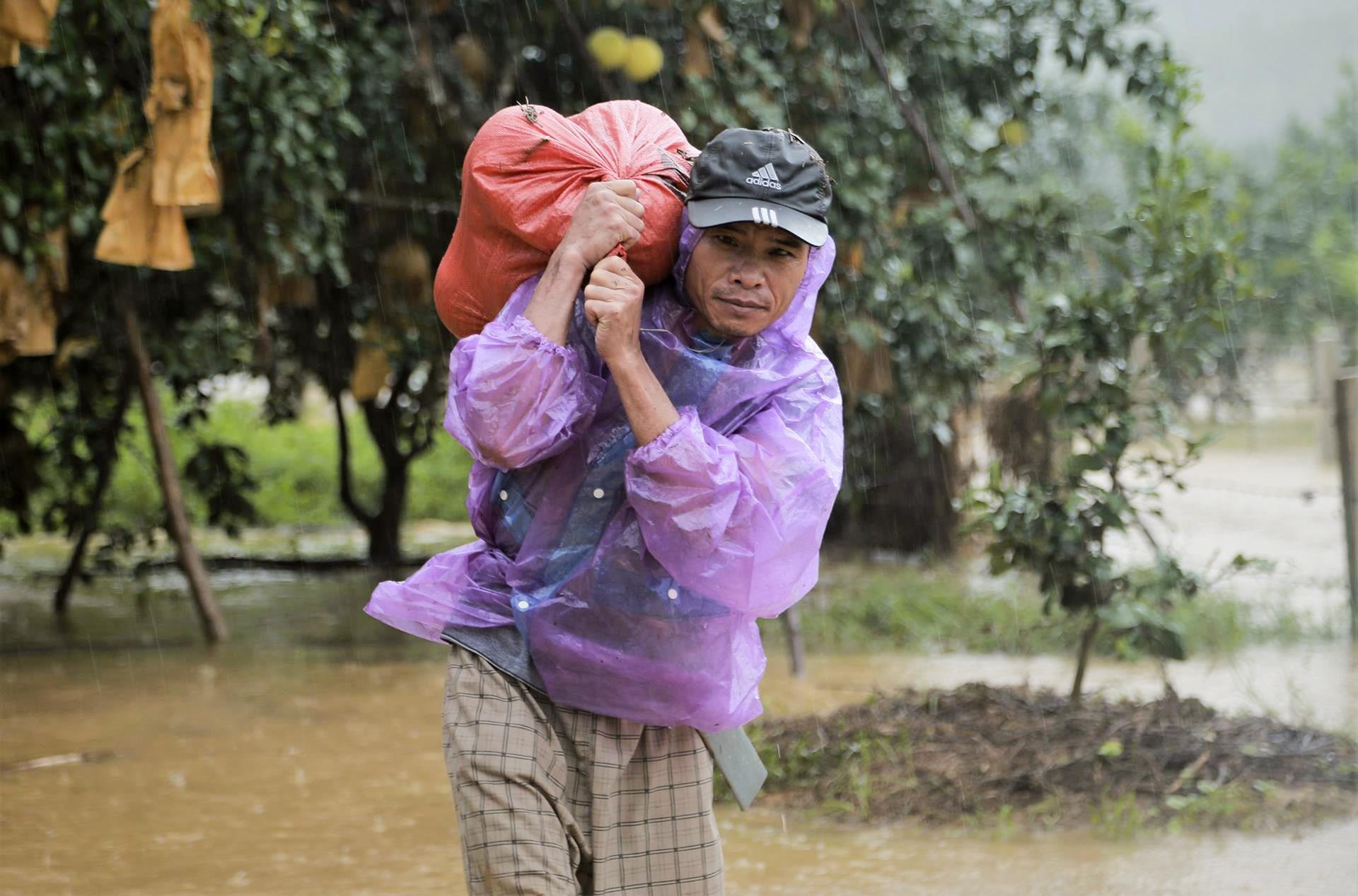 buoi Phuc Trach ngap chim trong lu anh 12