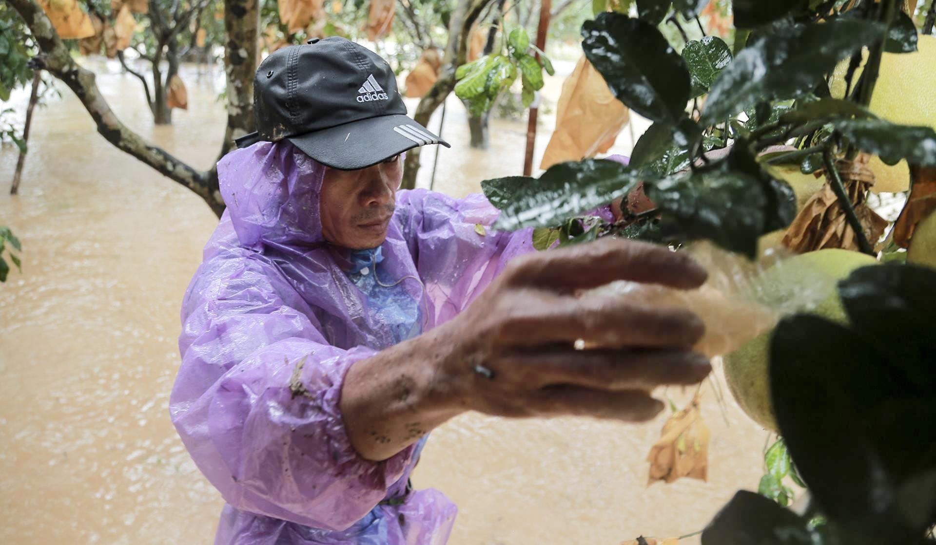 buoi Phuc Trach ngap chim trong lu anh 6