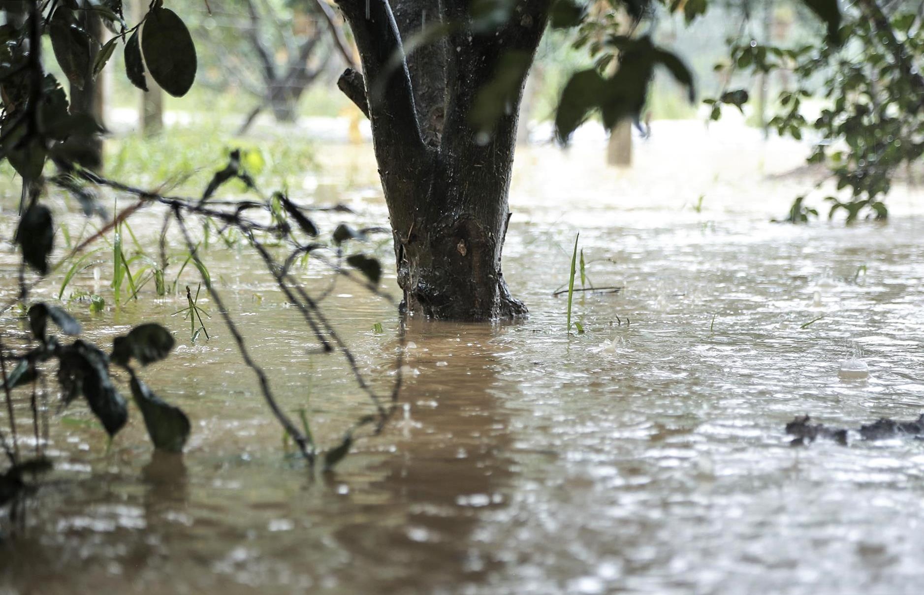 buoi Phuc Trach ngap chim trong lu anh 3