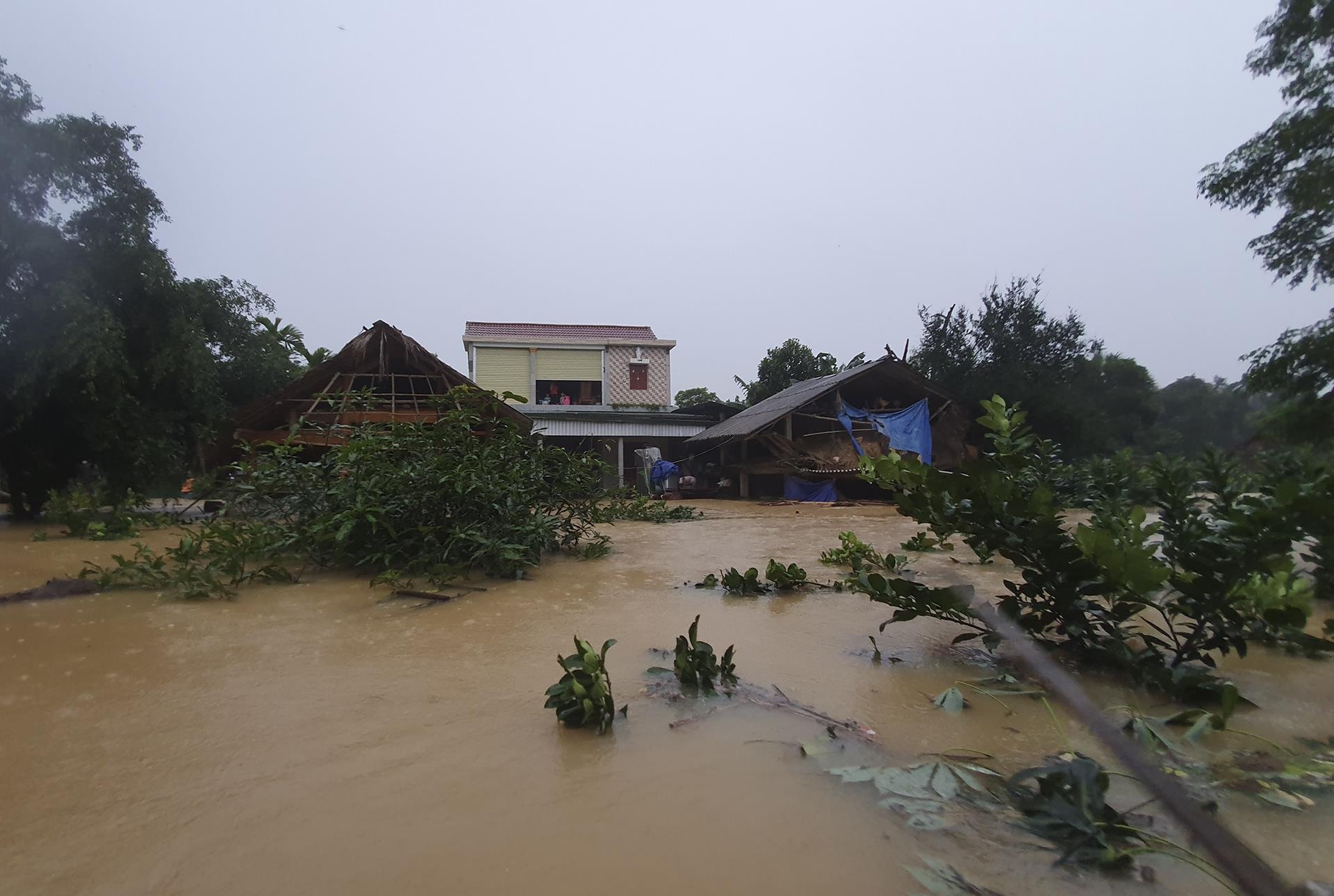 dem o ron lu Phuong My anh 9