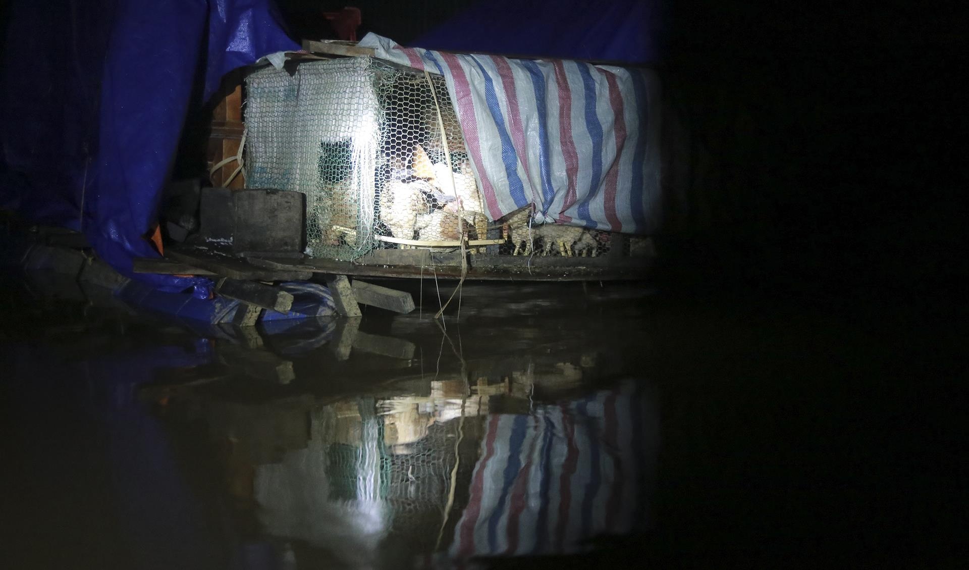 dem o ron lu Phuong My anh 7