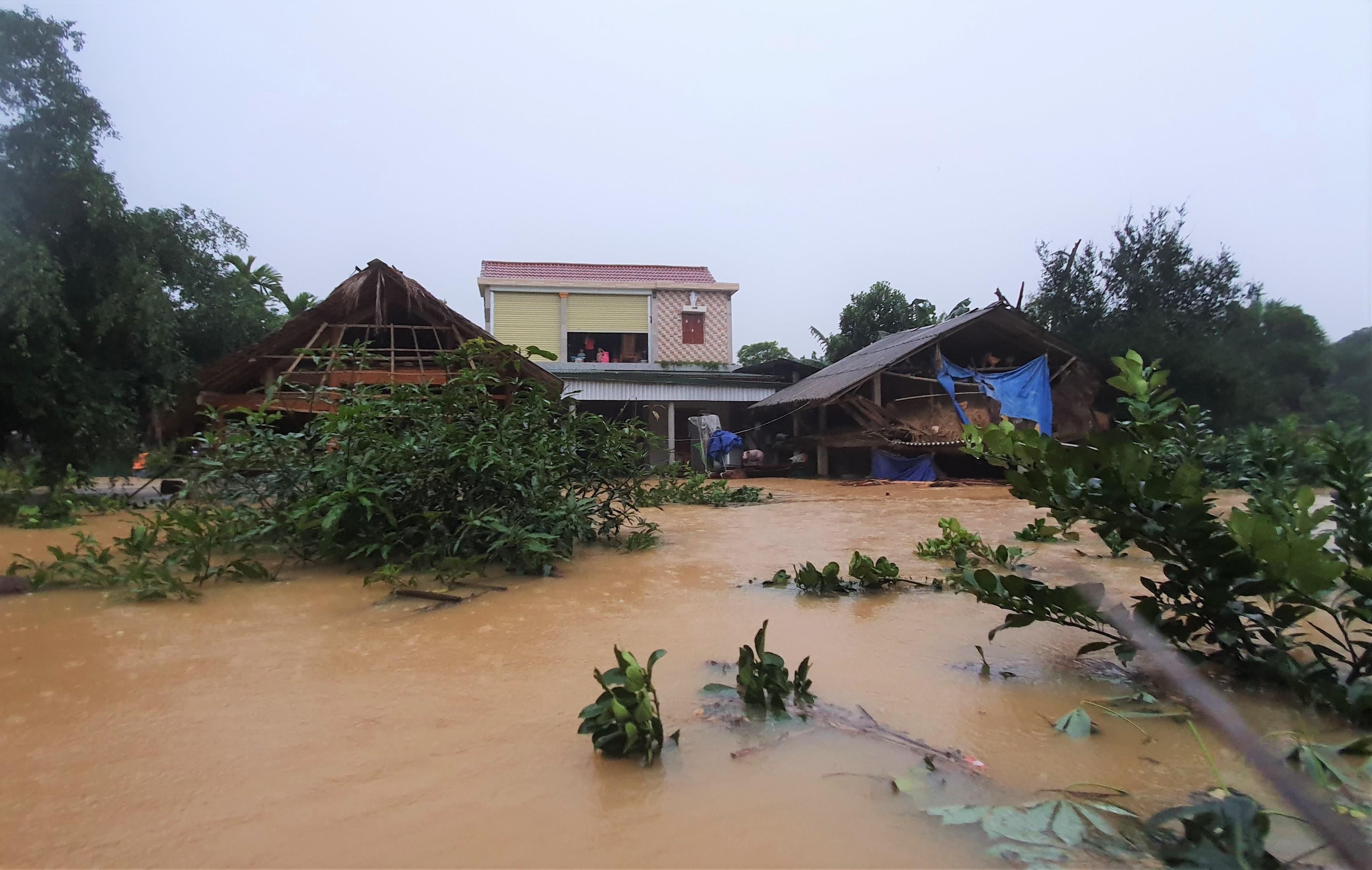 Lu gan ngap noc nha, dan co ro canh nuoc len hinh anh