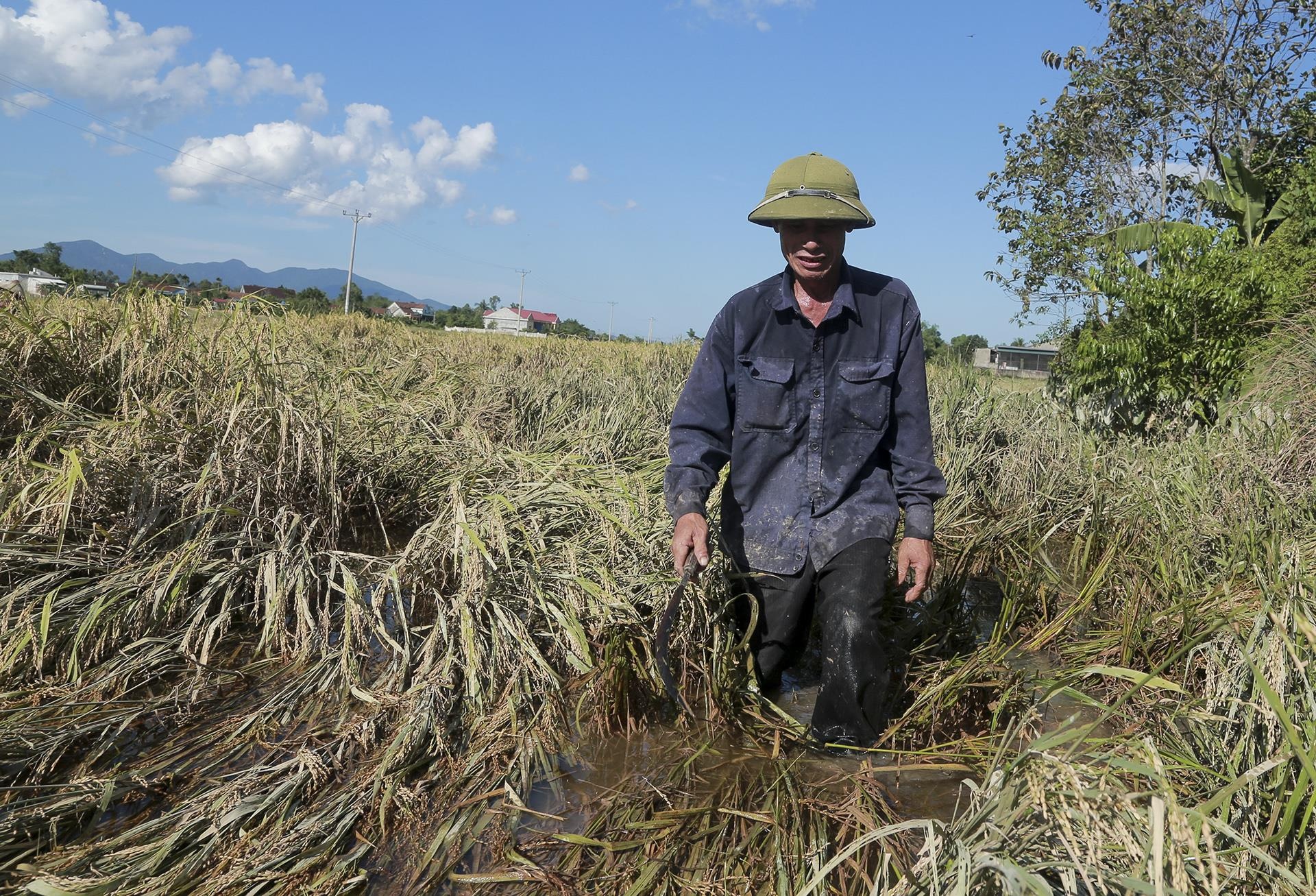 lua chet sau lu anh 5