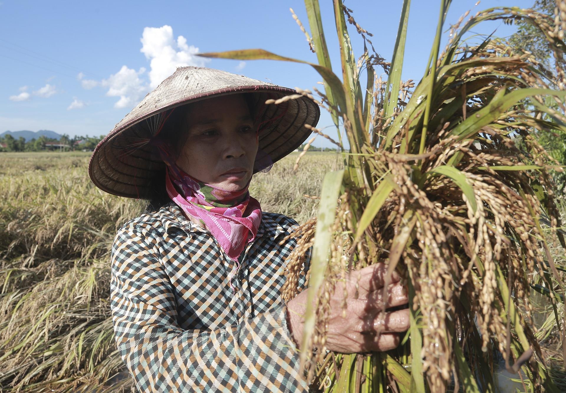 lua chet sau lu anh 9