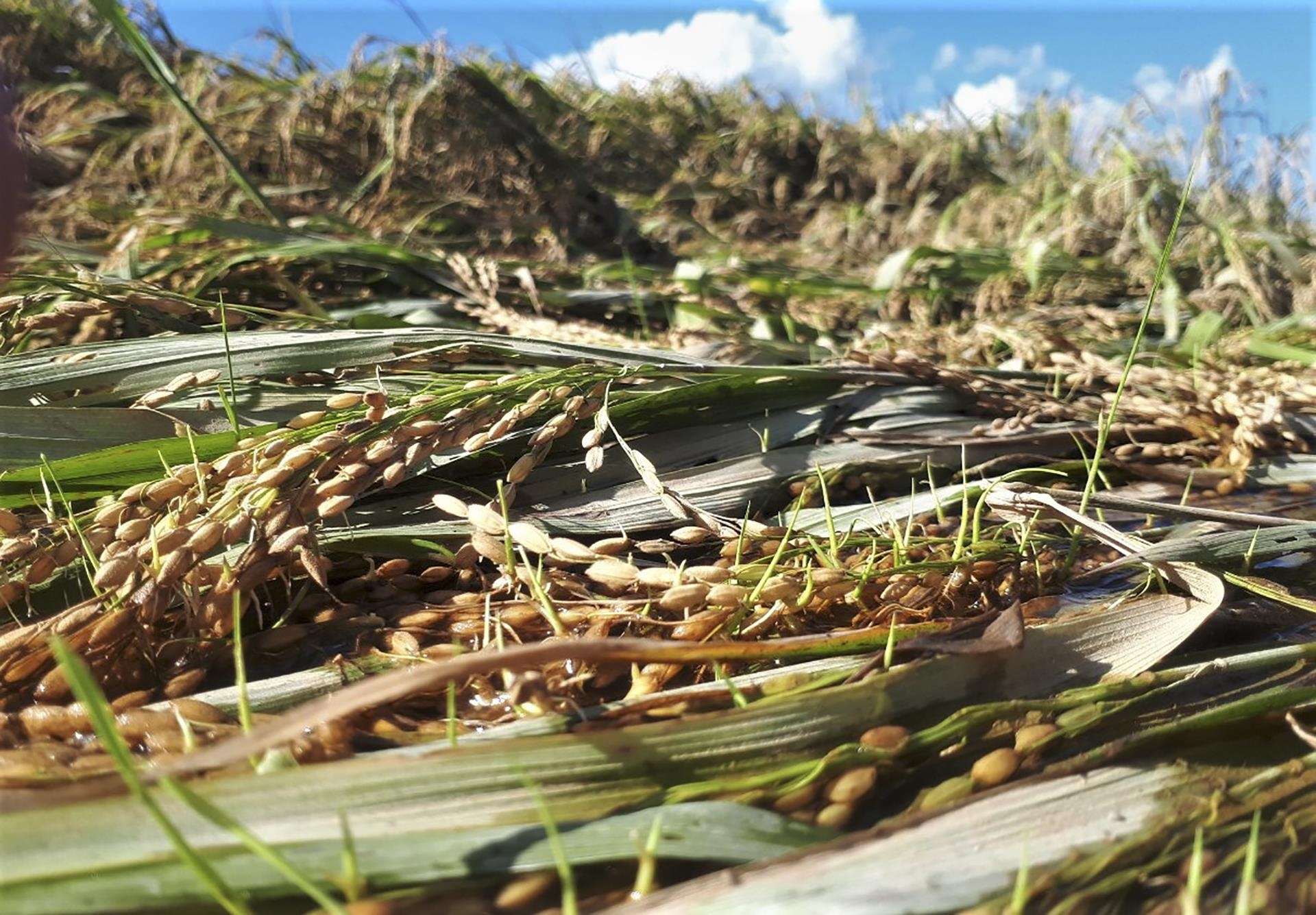 lua chet sau lu anh 4