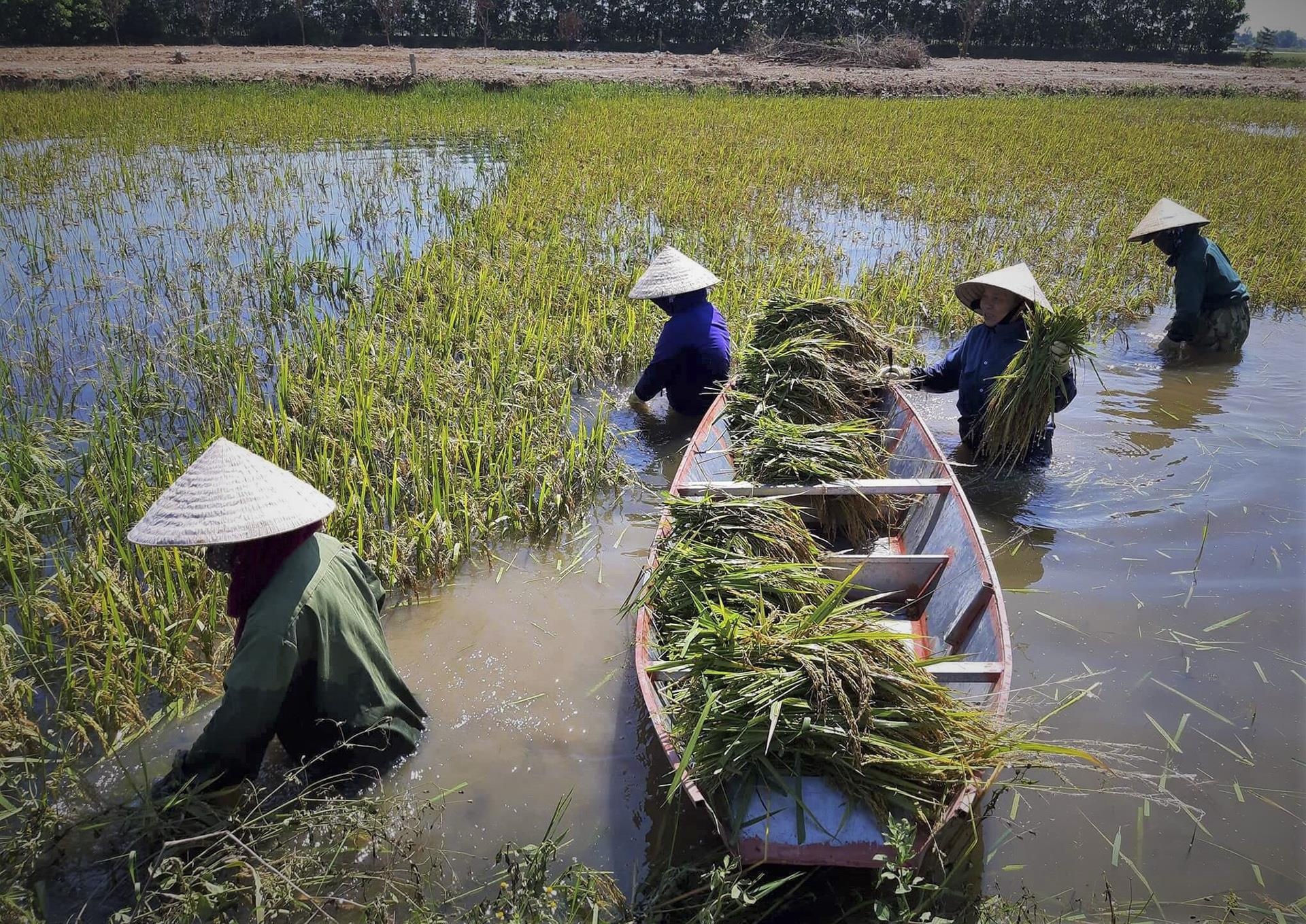 lua chet sau lu anh 2