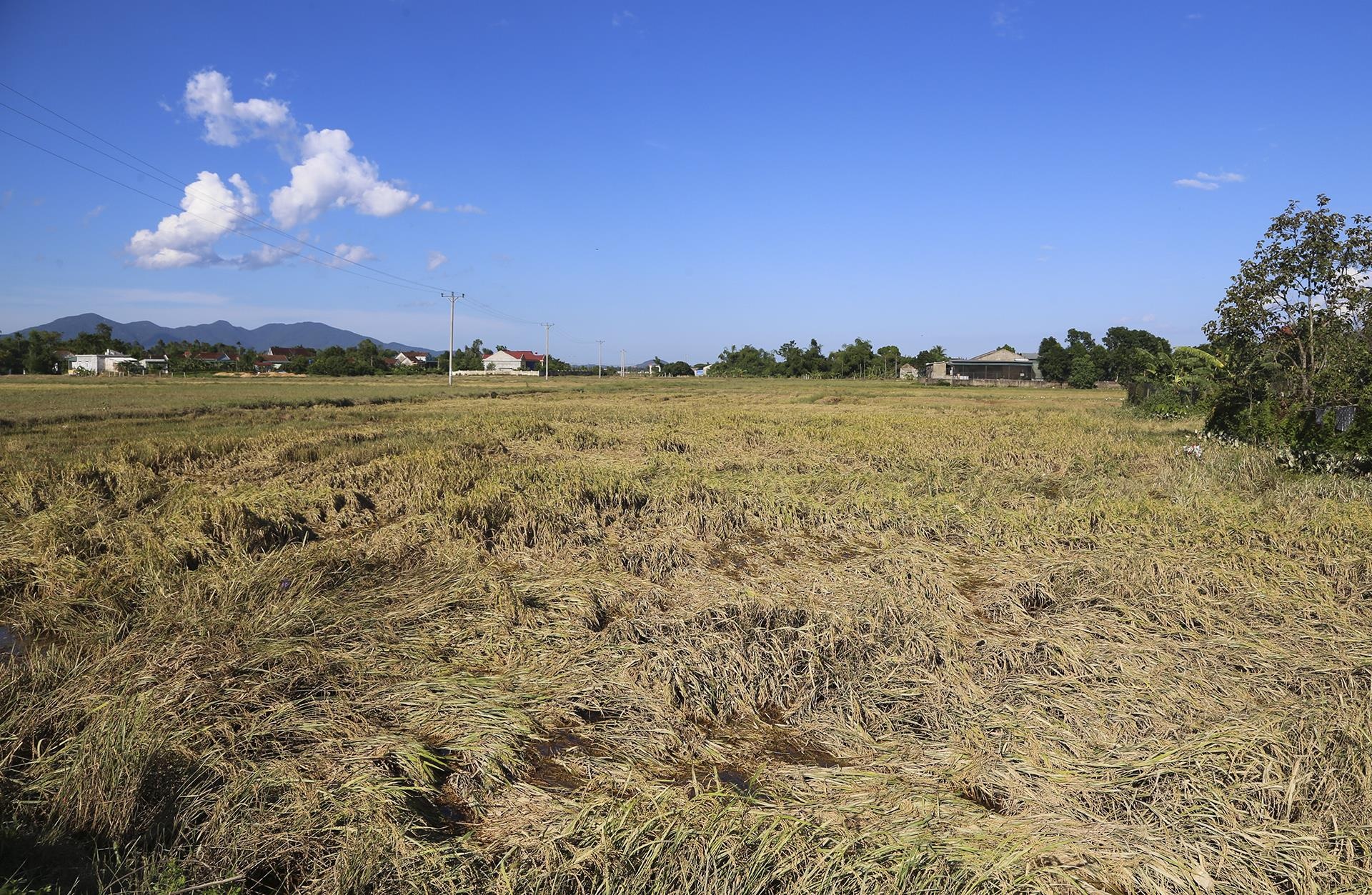 lua chet sau lu anh 1