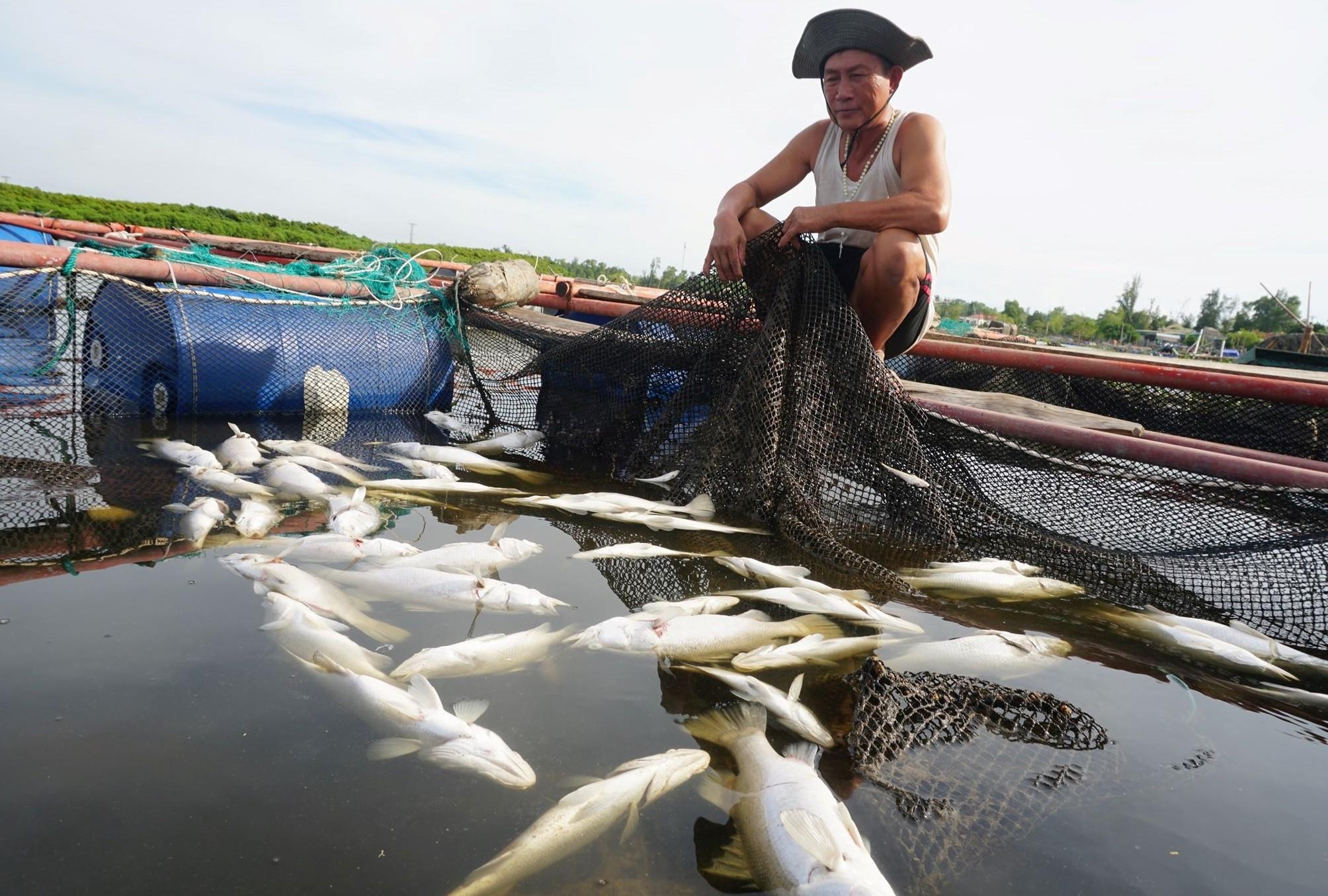 80 tan ca chem chet trang bat thuong o Ha Tinh hinh anh