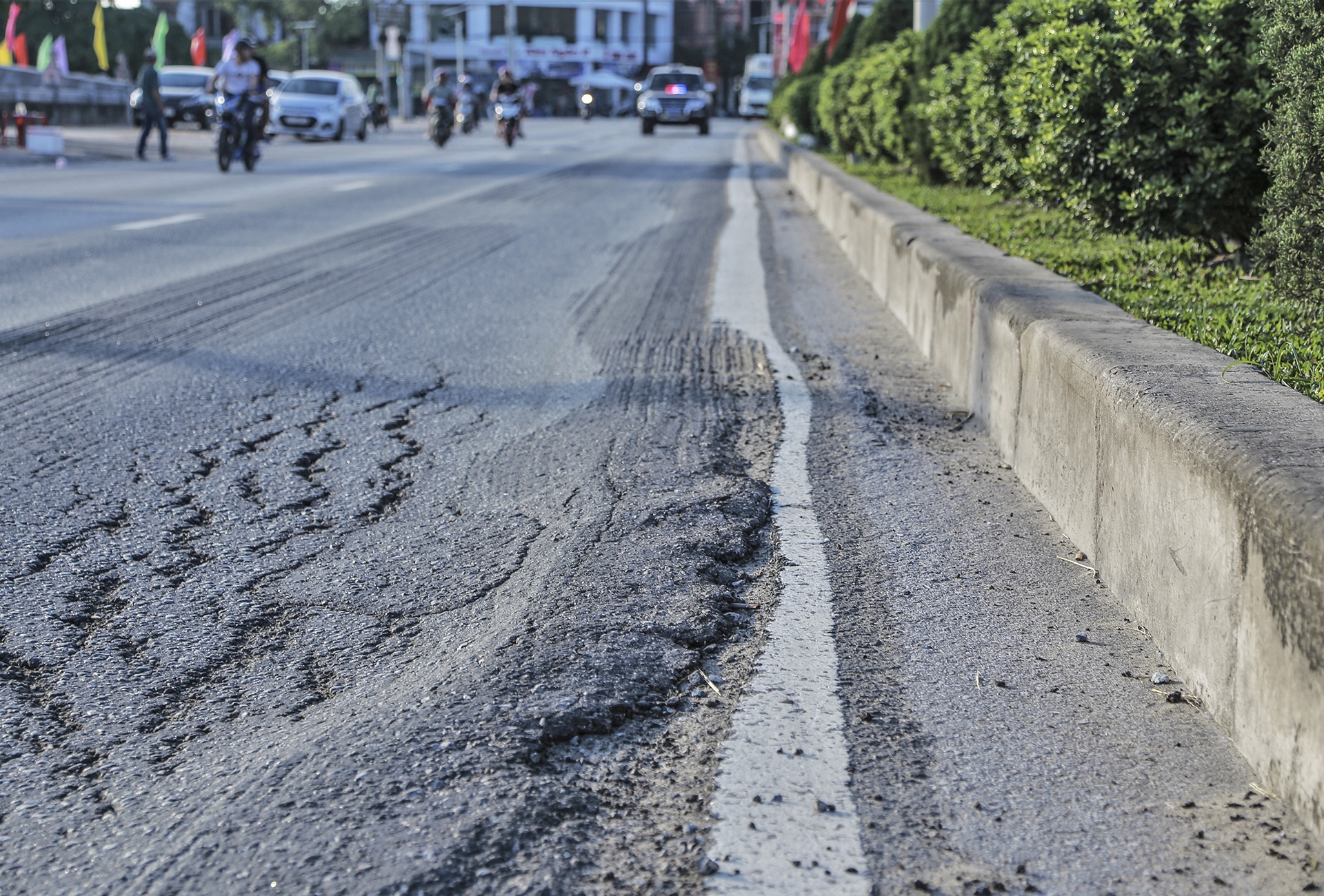 quoc lo 1 bong troc anh 11