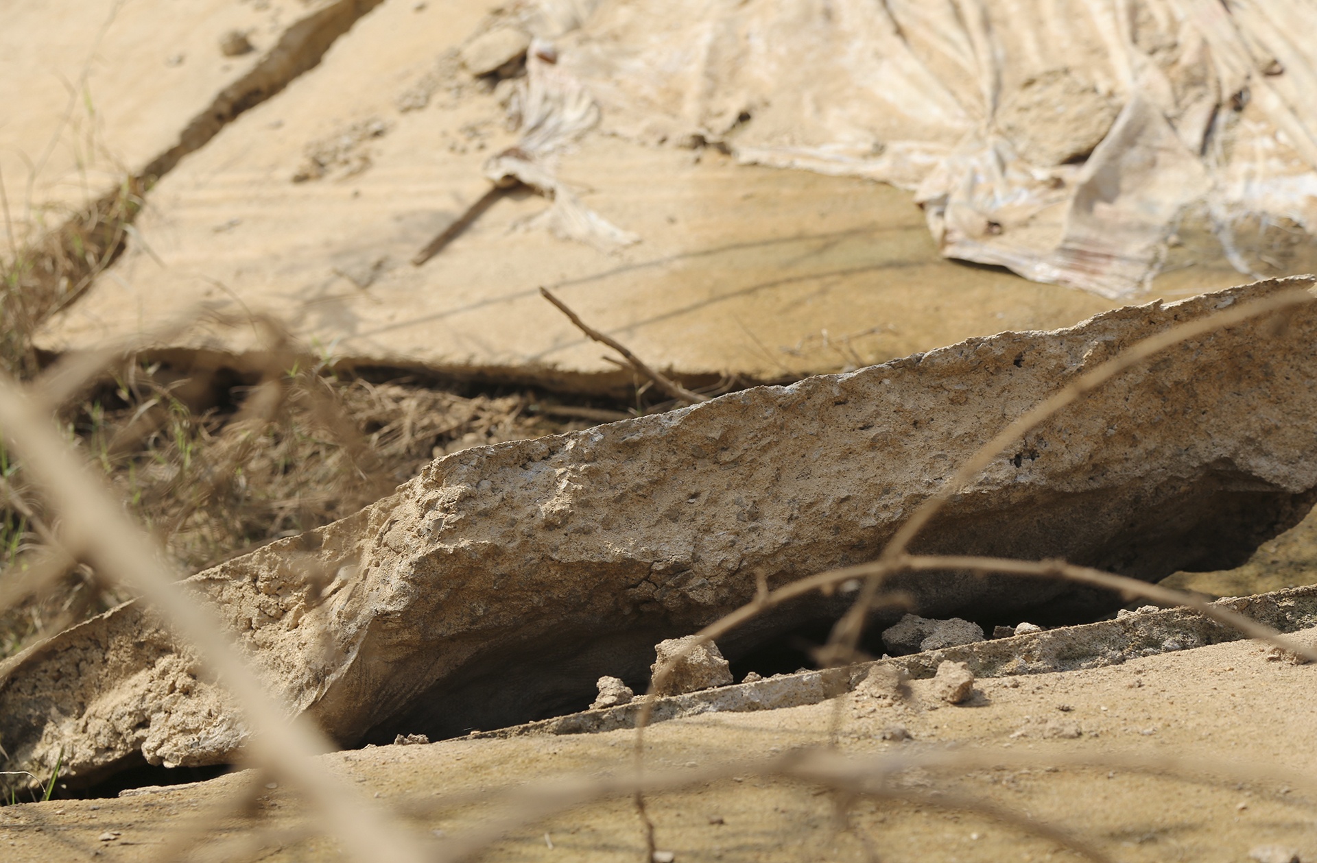 duong thoat lu tan hoang anh 10