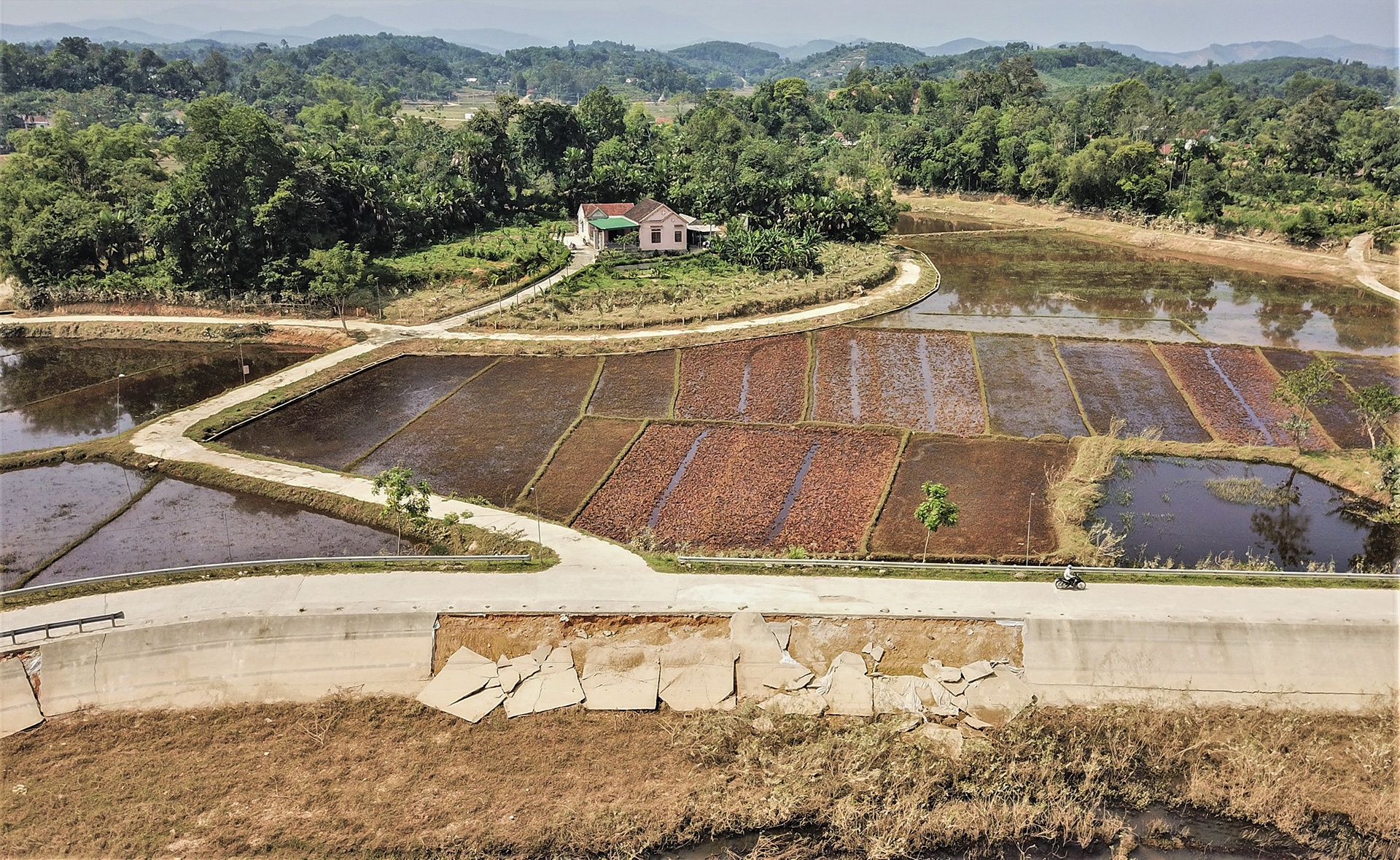 duong thoat lu tan hoang anh 2