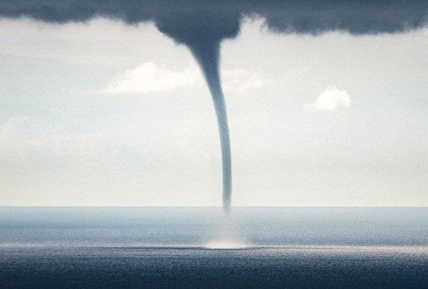 Voi rong cao tram met xuat hien tren bien hinh anh