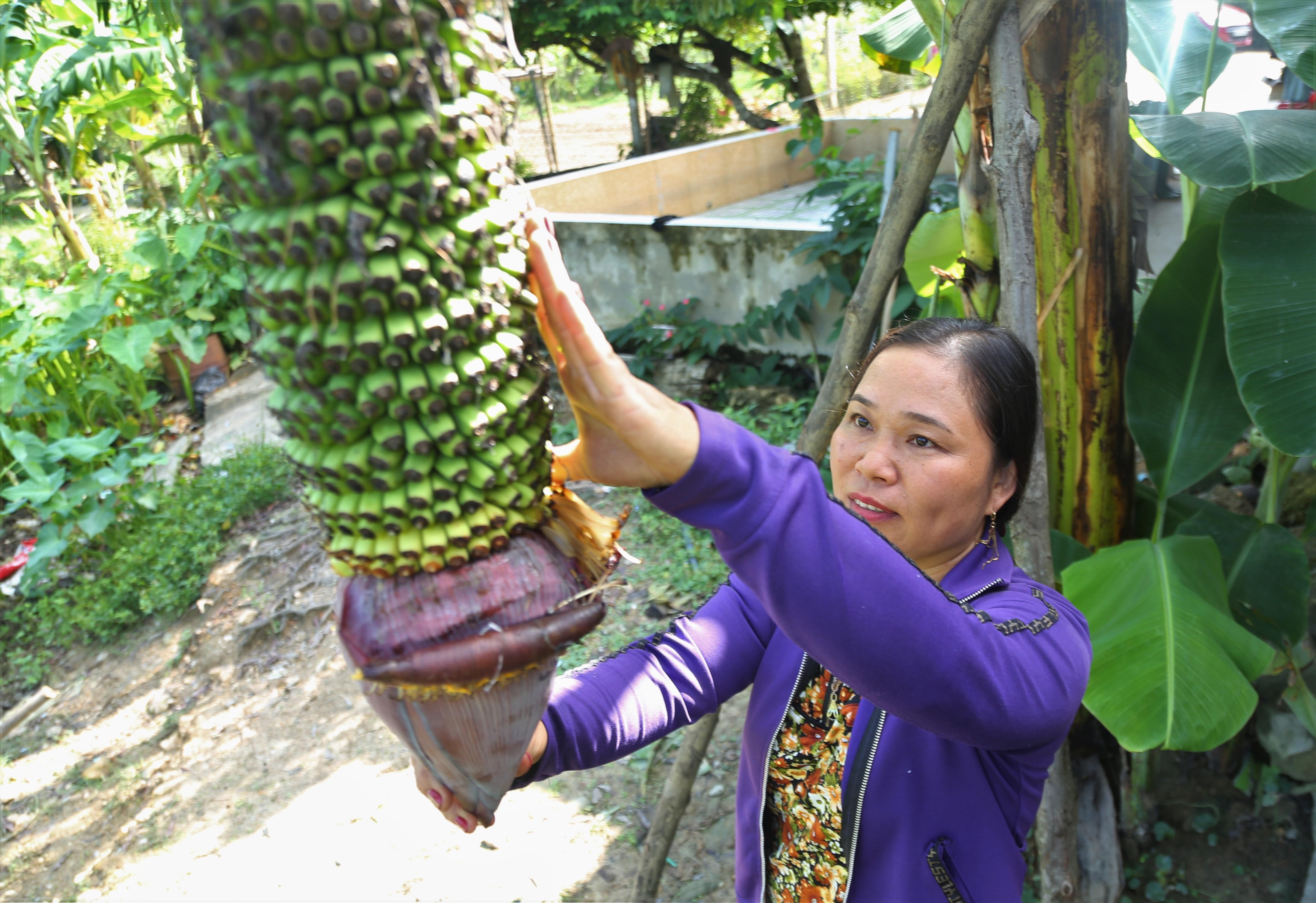 Can canh buong chuoi 350 nai hinh anh