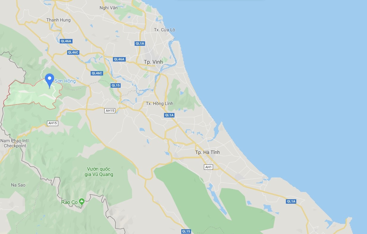 buồng chuối kỳ lạ hơn 350 nải ảnh 3 buong chuoi ky la hon 350 nai anh 3