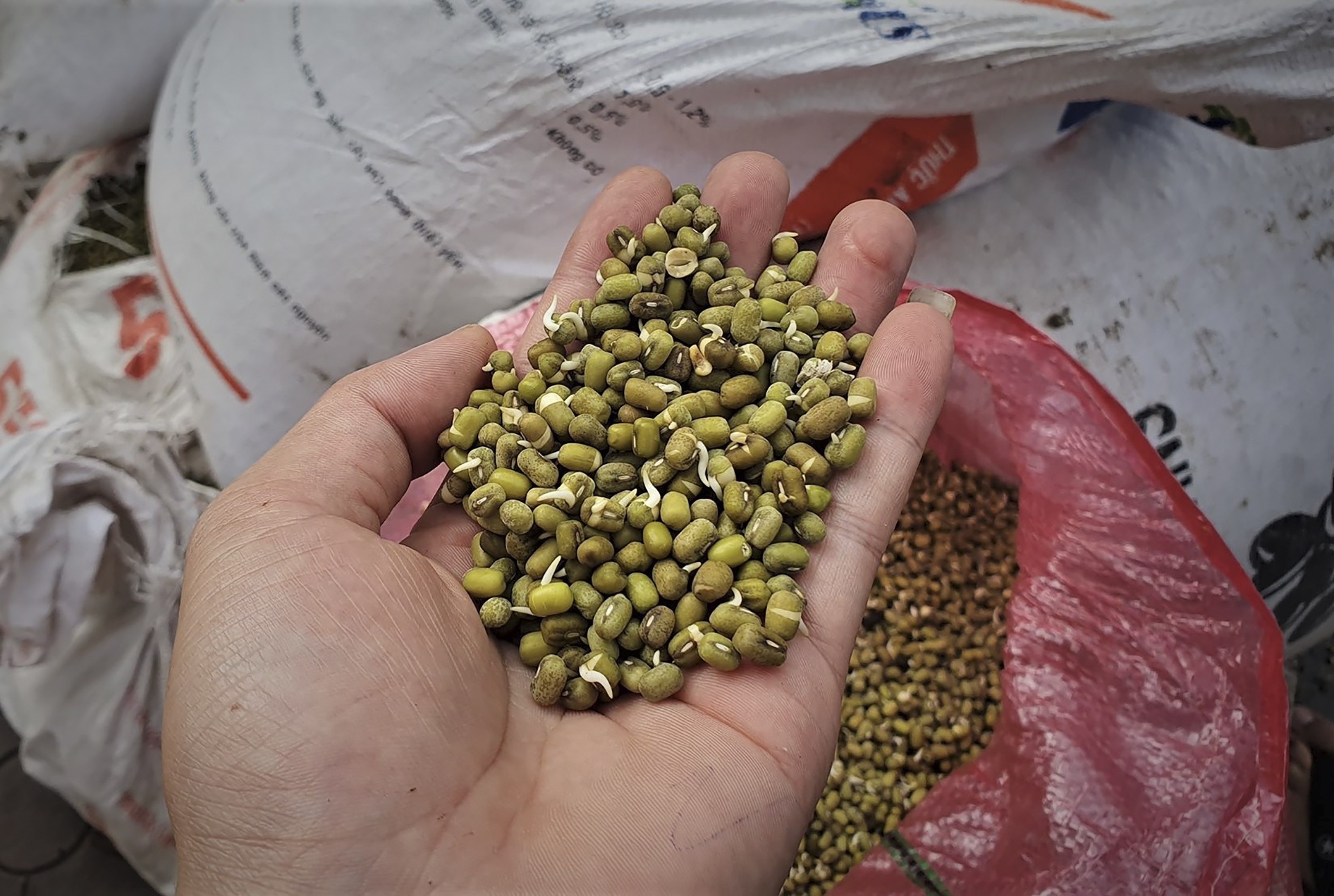 tieu thuong khoc khi hang hoa bi ngam nuoc anh 9