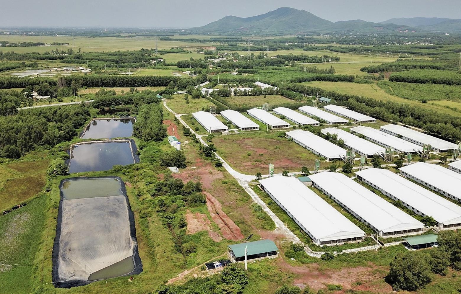 Trai lon hon 6.500 con xa nuoc thai mau den ra suoi hinh anh