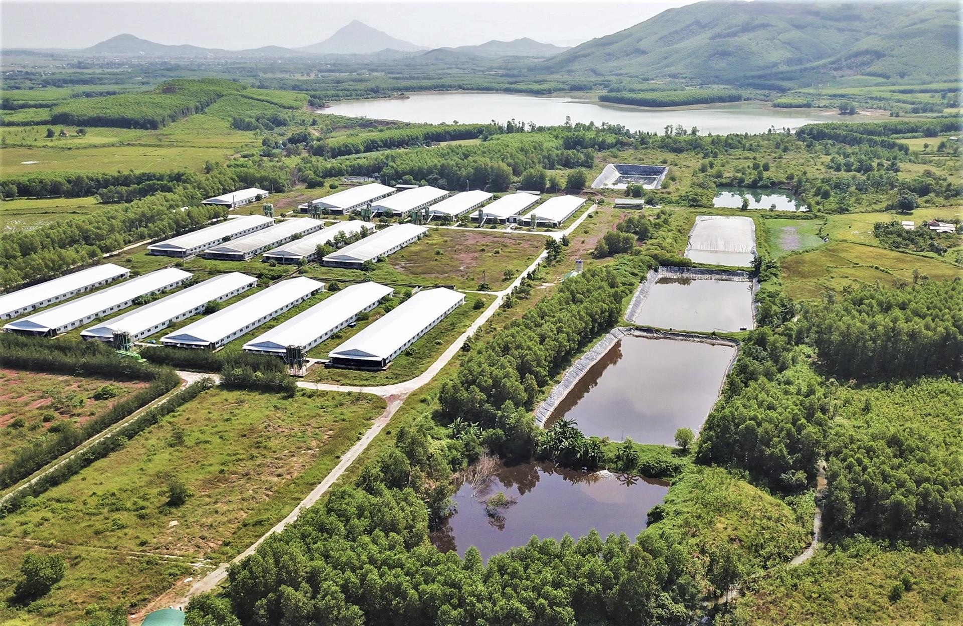 Dan ca than trai lon 6.500 con xa nuoc thai ra khe suoi hinh anh