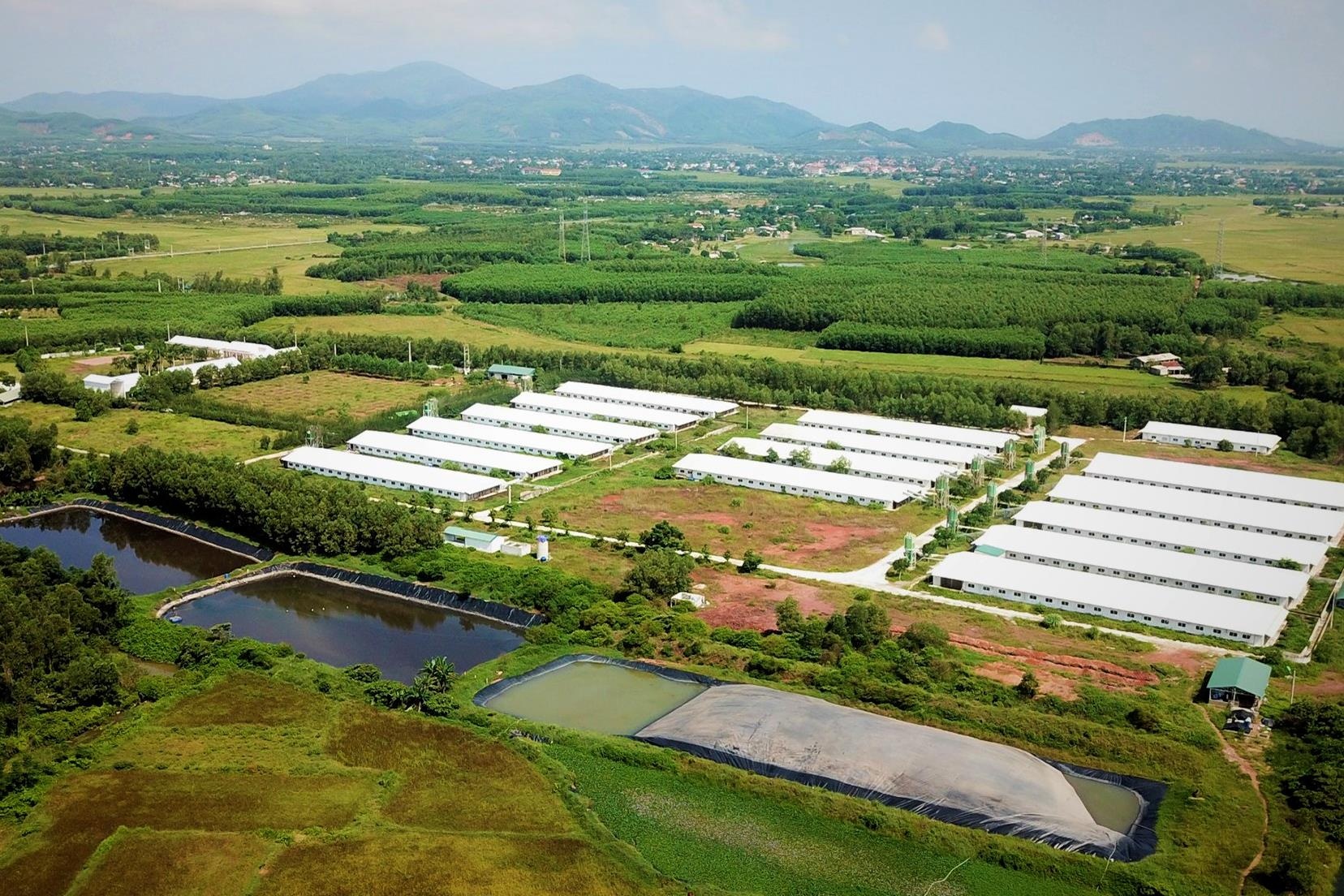 Giam doc trai lon 6.500 con xin loi dan vi xa thai ra suoi hinh anh