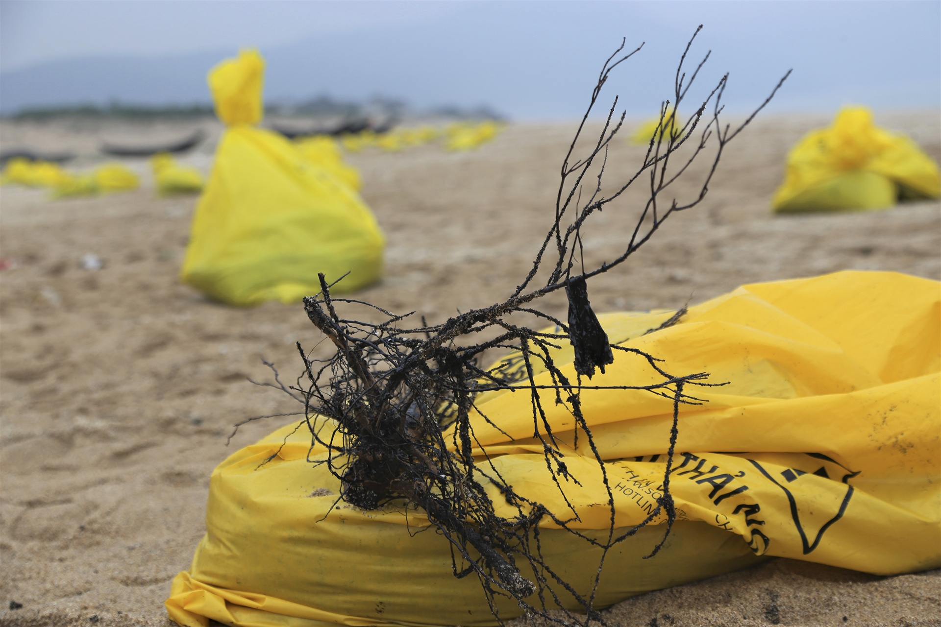 su co tran dau o Ha Tinh anh 9