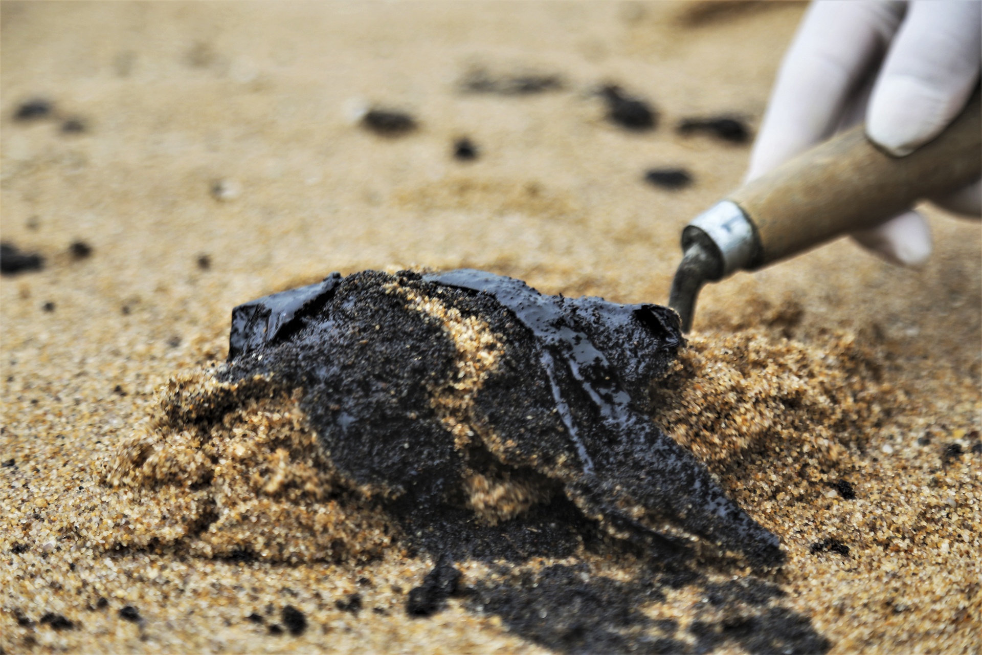 su co tran dau o Ha Tinh anh 6