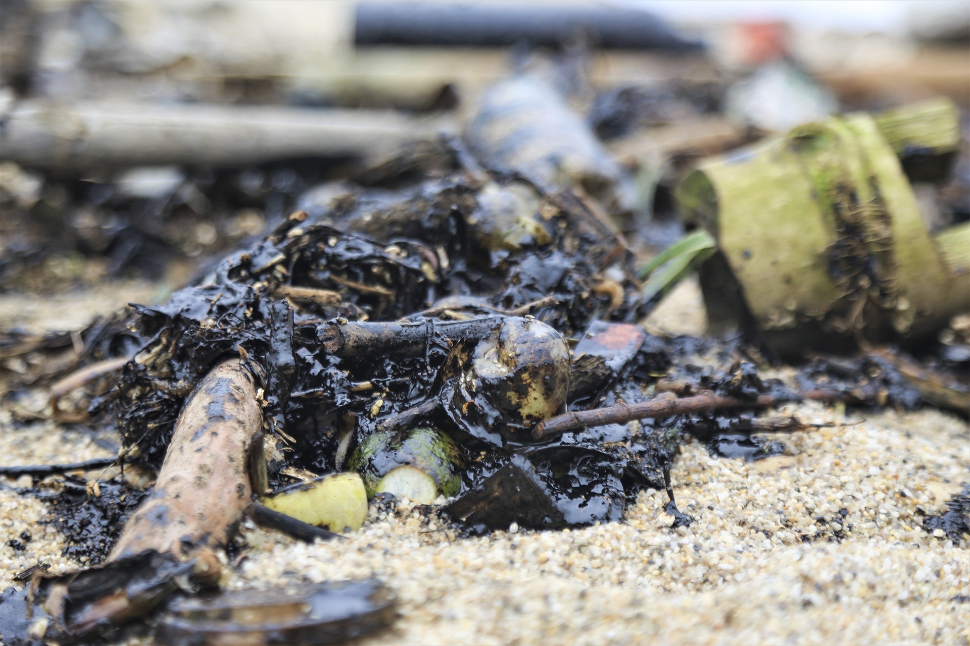 su co tran dau o Ha Tinh anh 2