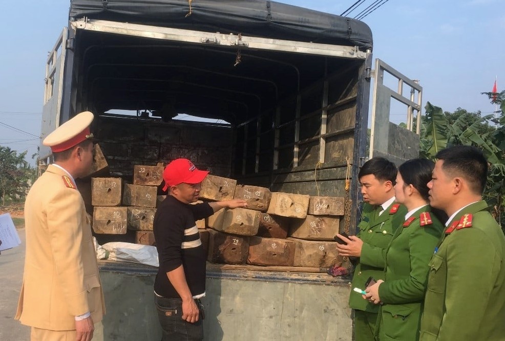 tai xe cho go lau anh 1