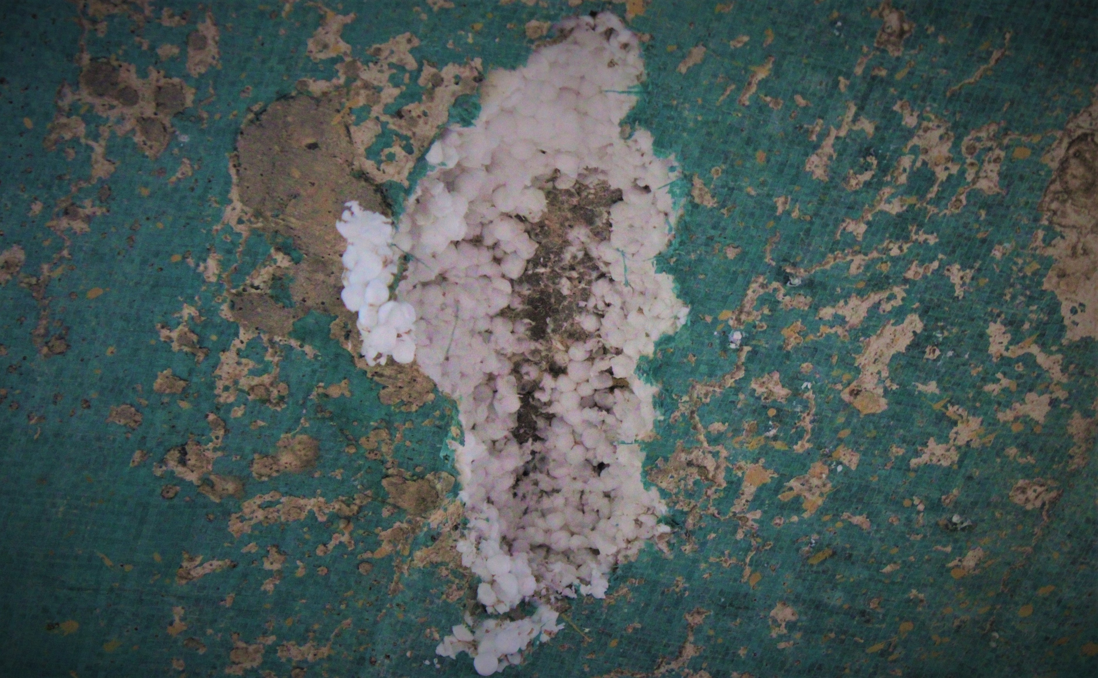 Cau be tong cot xop anh 5