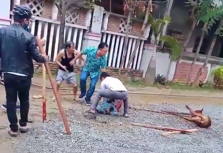 cho Pitbull can nguoi anh 1