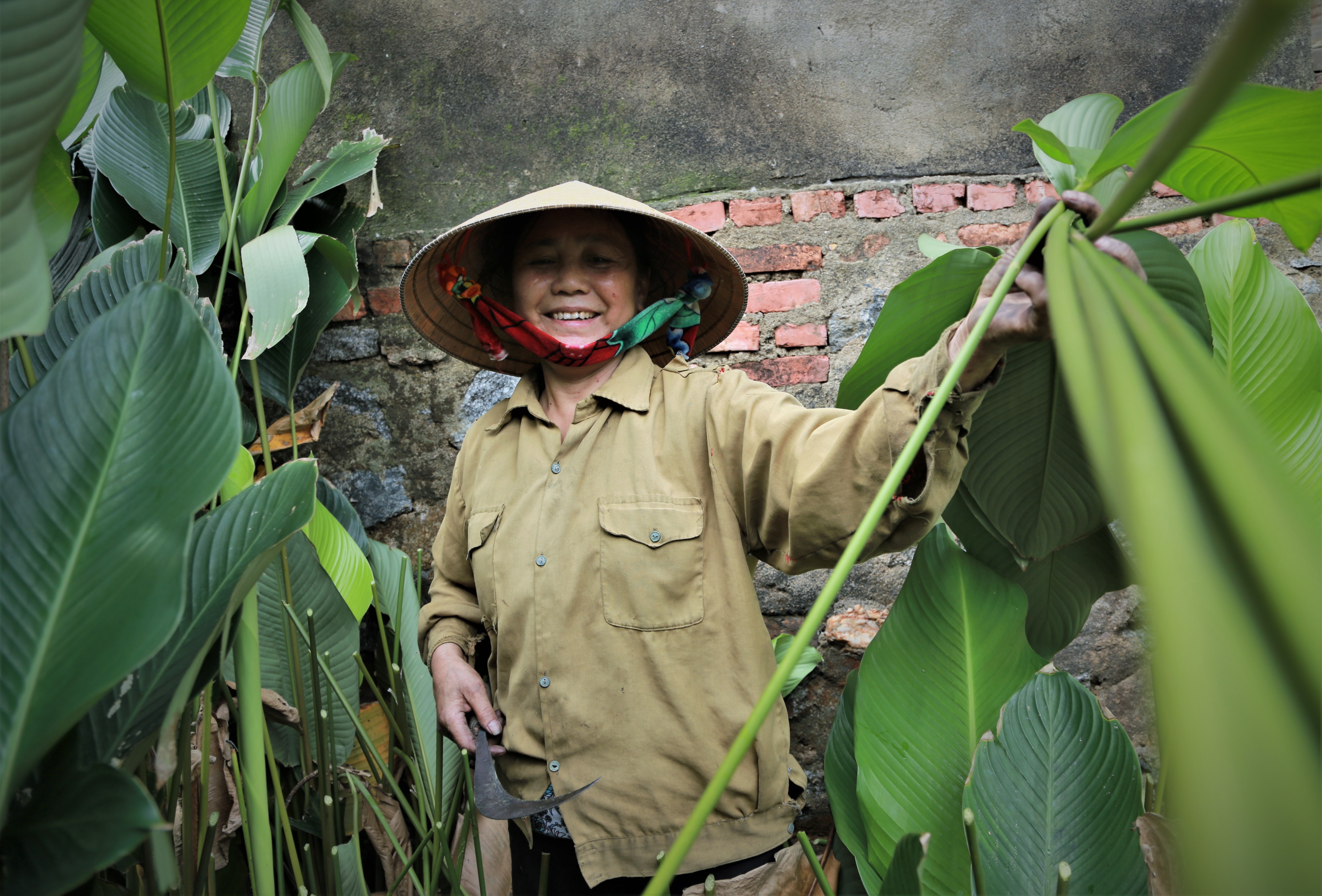 Lang la dong lon nhat Ha Tinh tat bat dip can Tet hinh anh