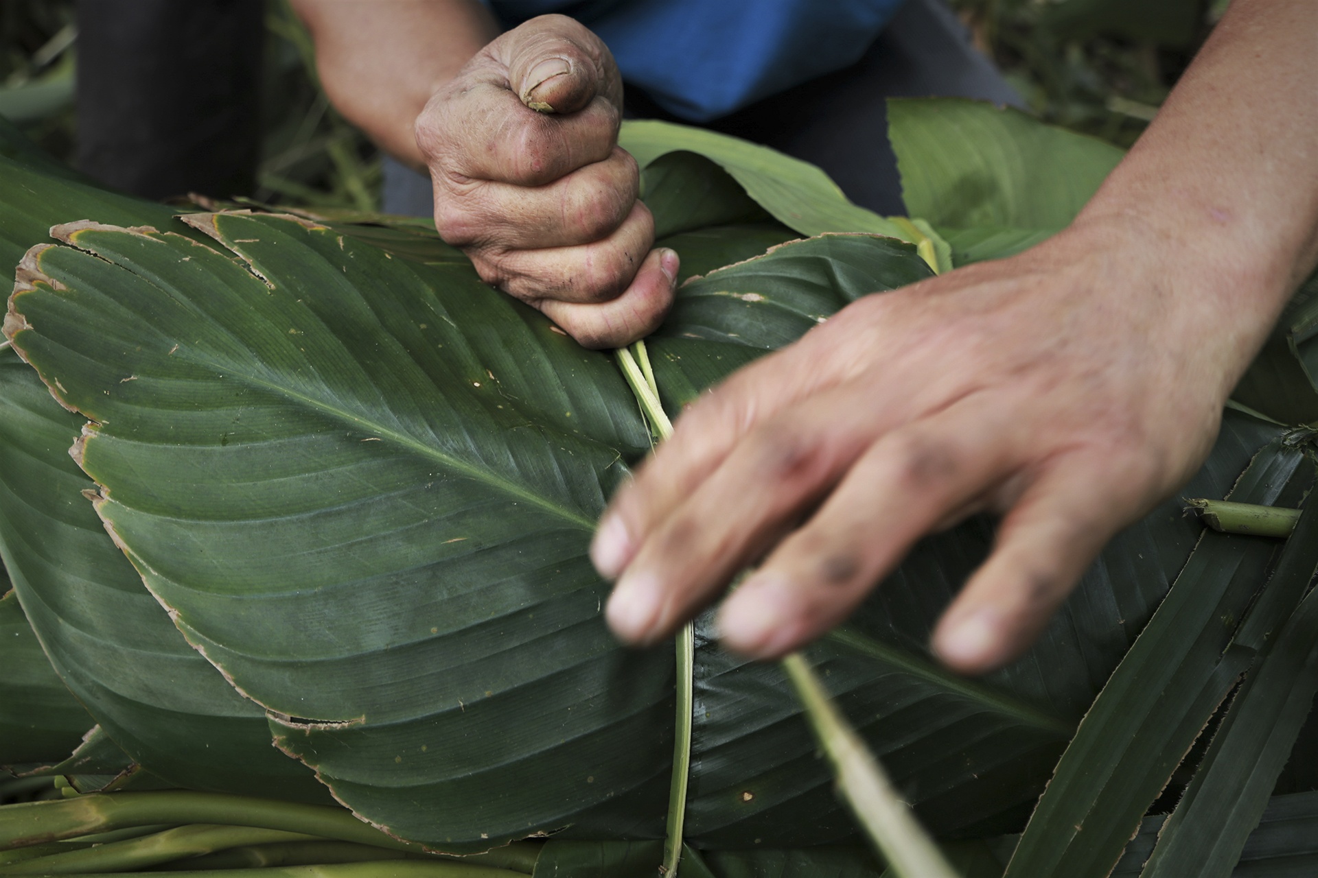 lang la dong vao vu Tet anh 9