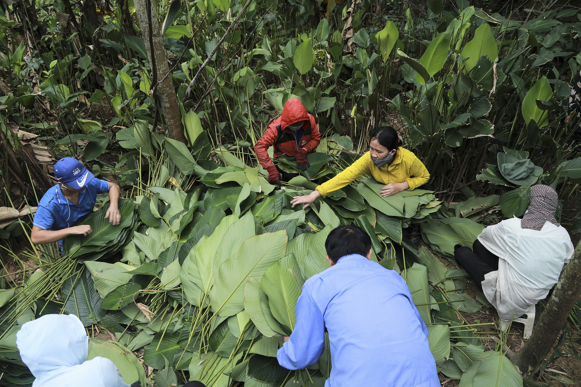 lang la dong vao vu Tet anh 7